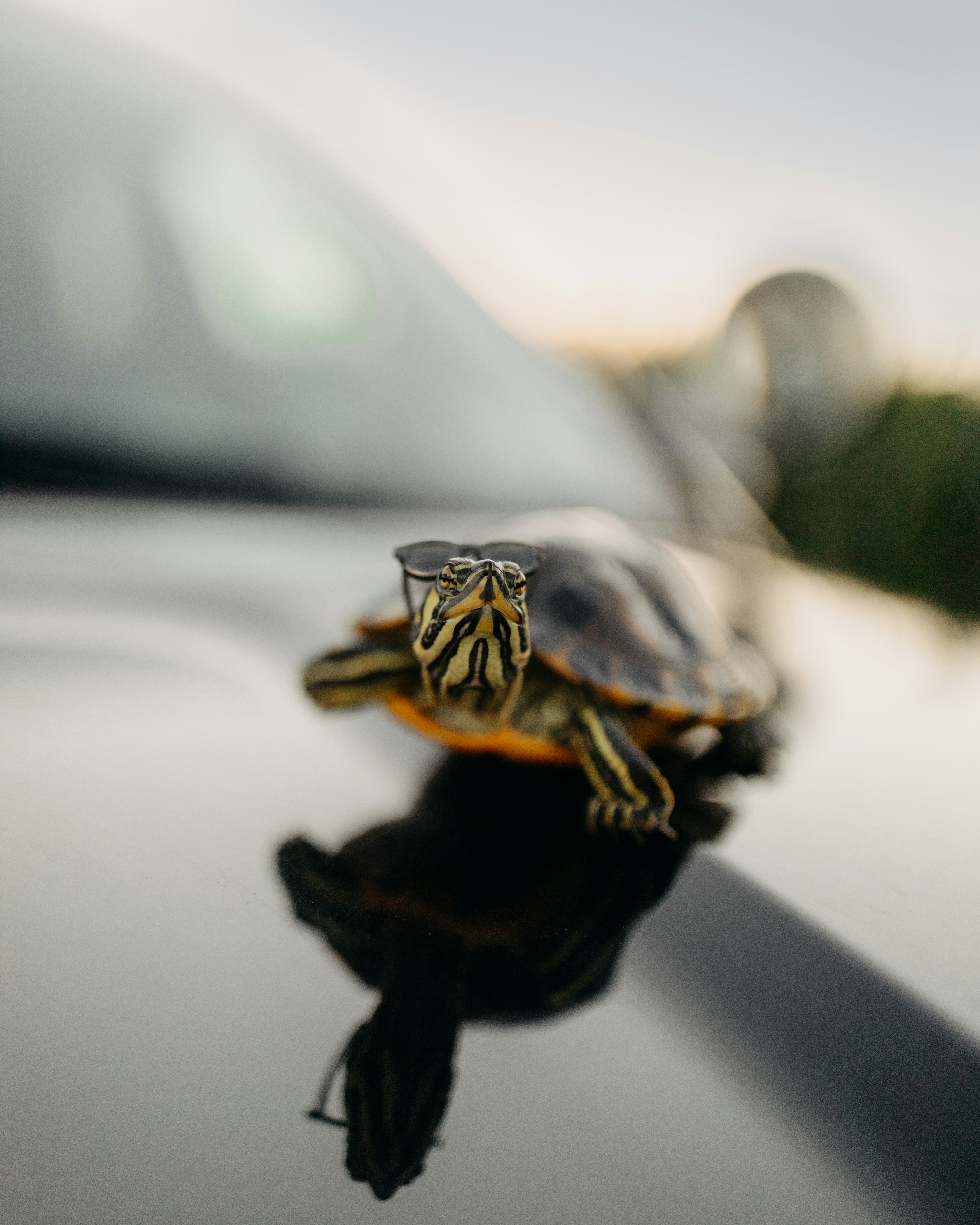 Photo by brittneyweng