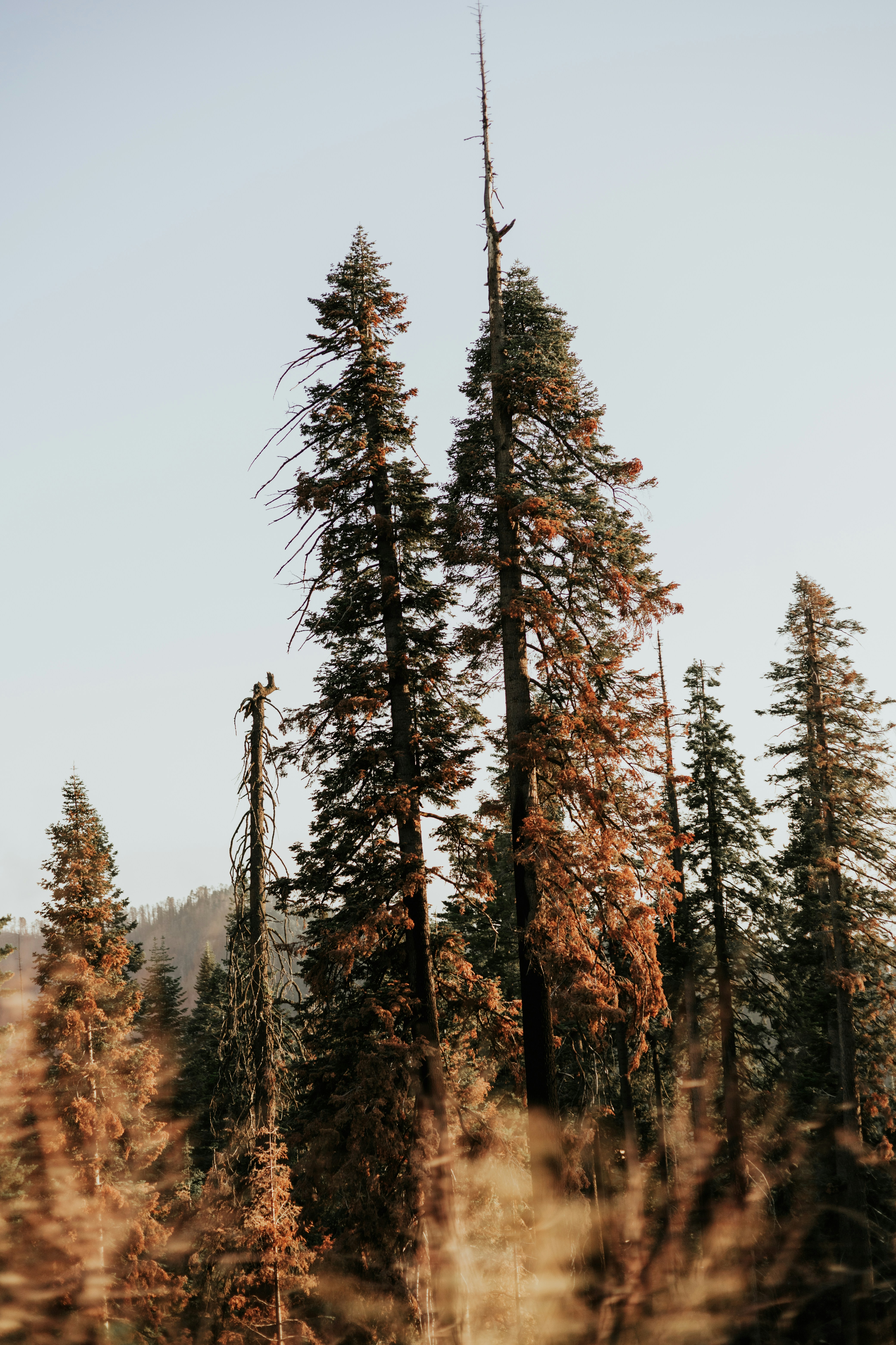 Photo by jeffersonsees