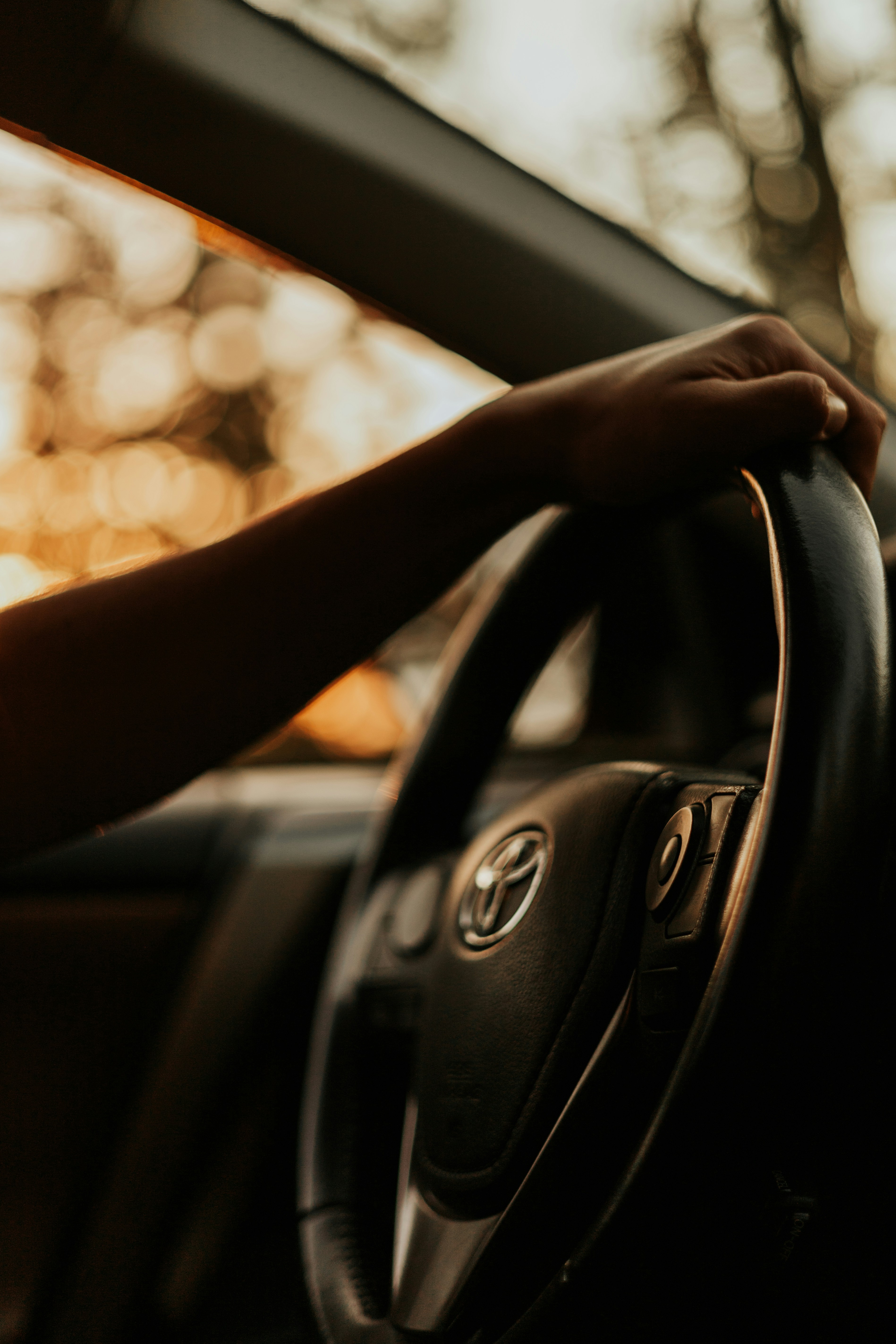 Photo by jeffersonsees