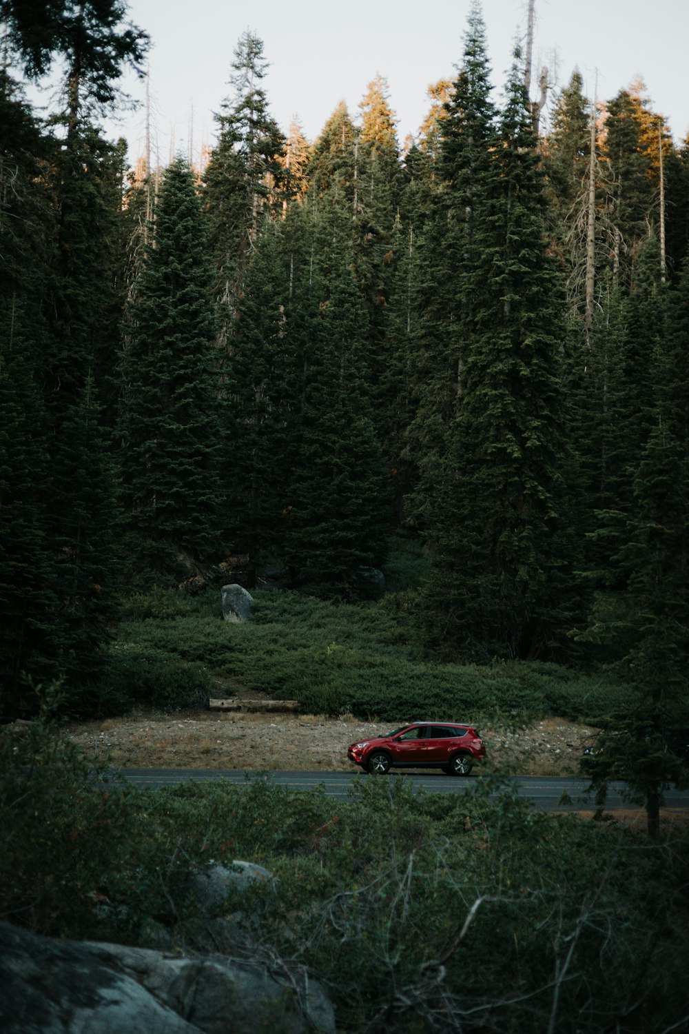 a red car on a road surrounded by trees
