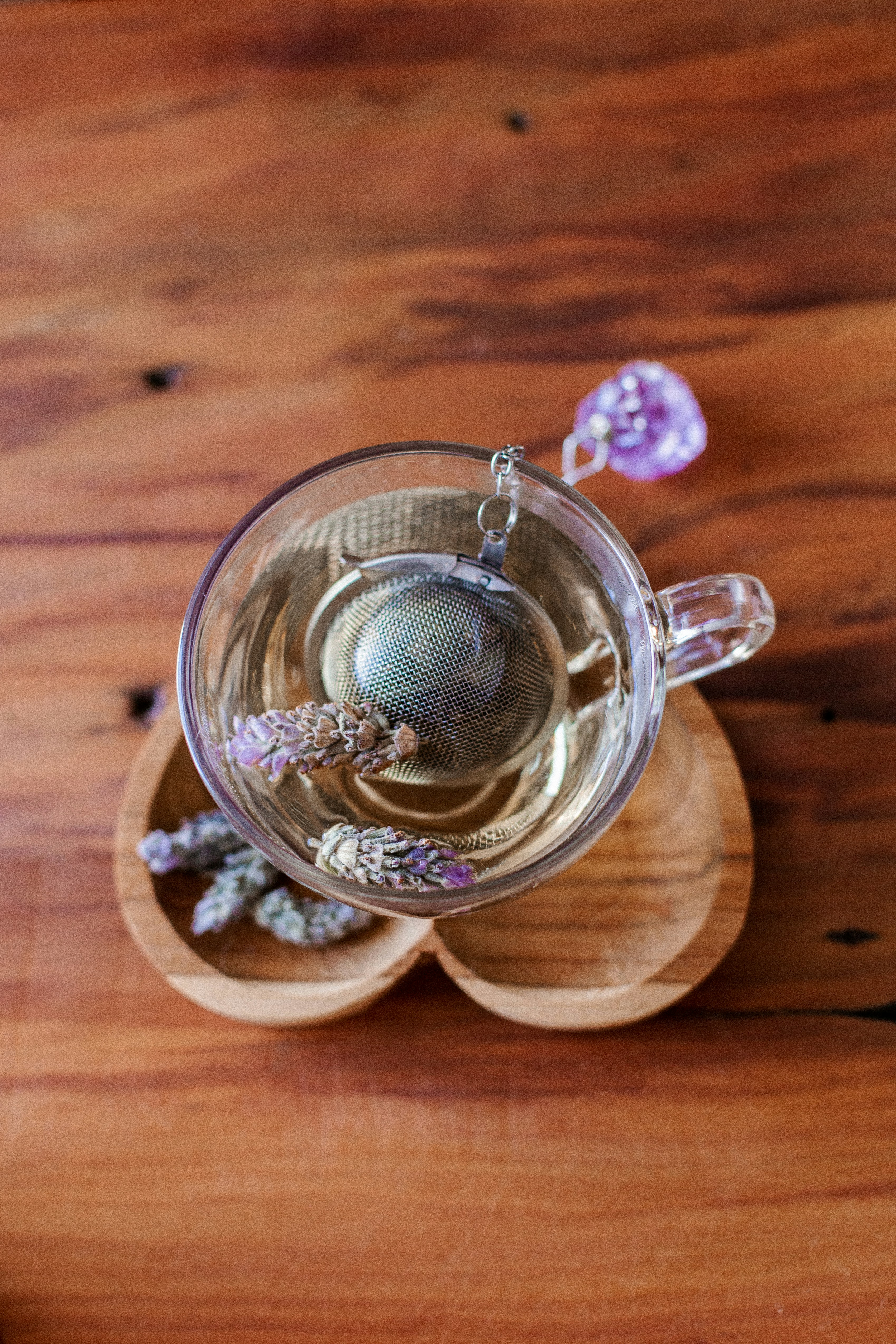 Photo by carolineveronez