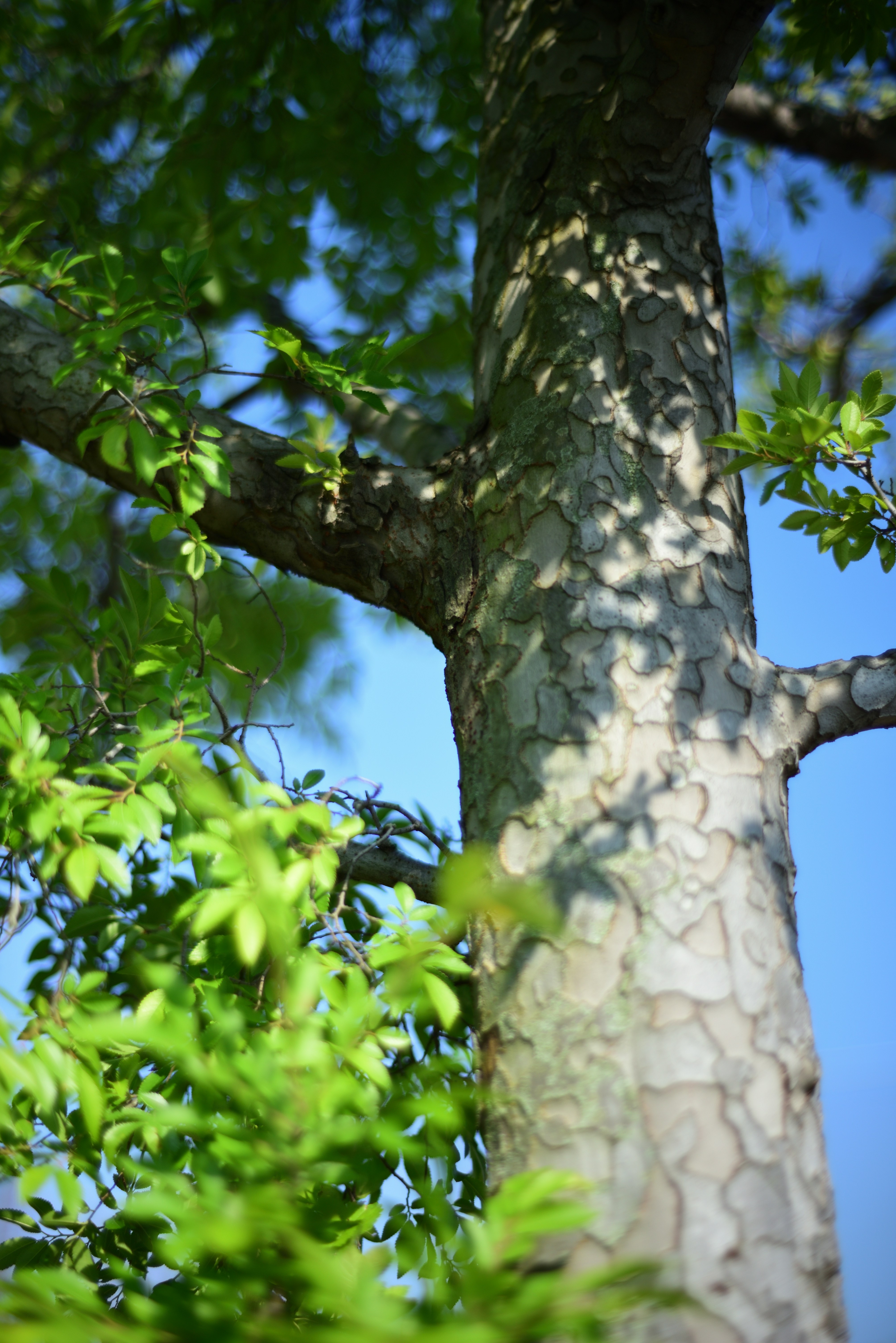 Photo by frogman1962