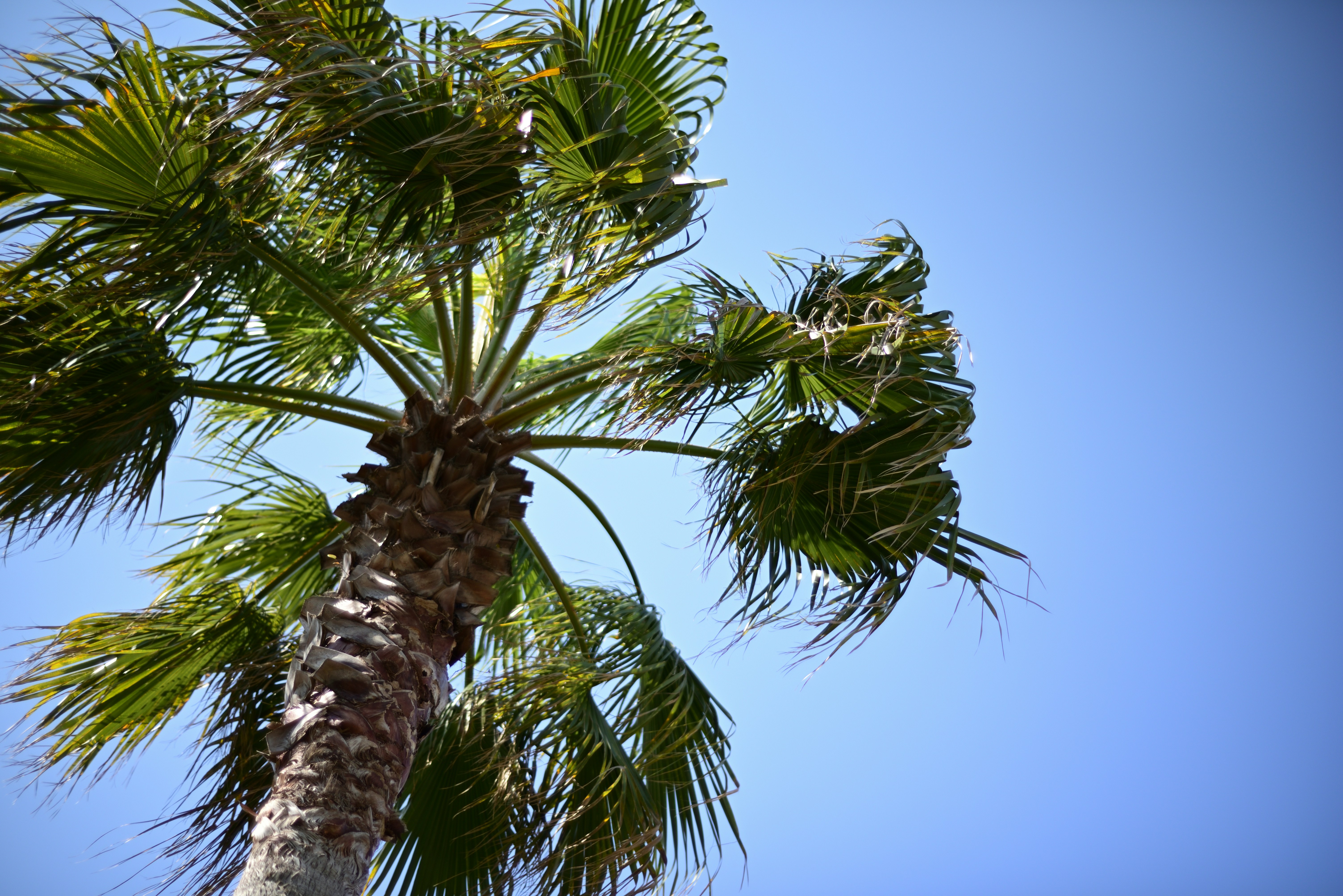 Photo by frogman1962