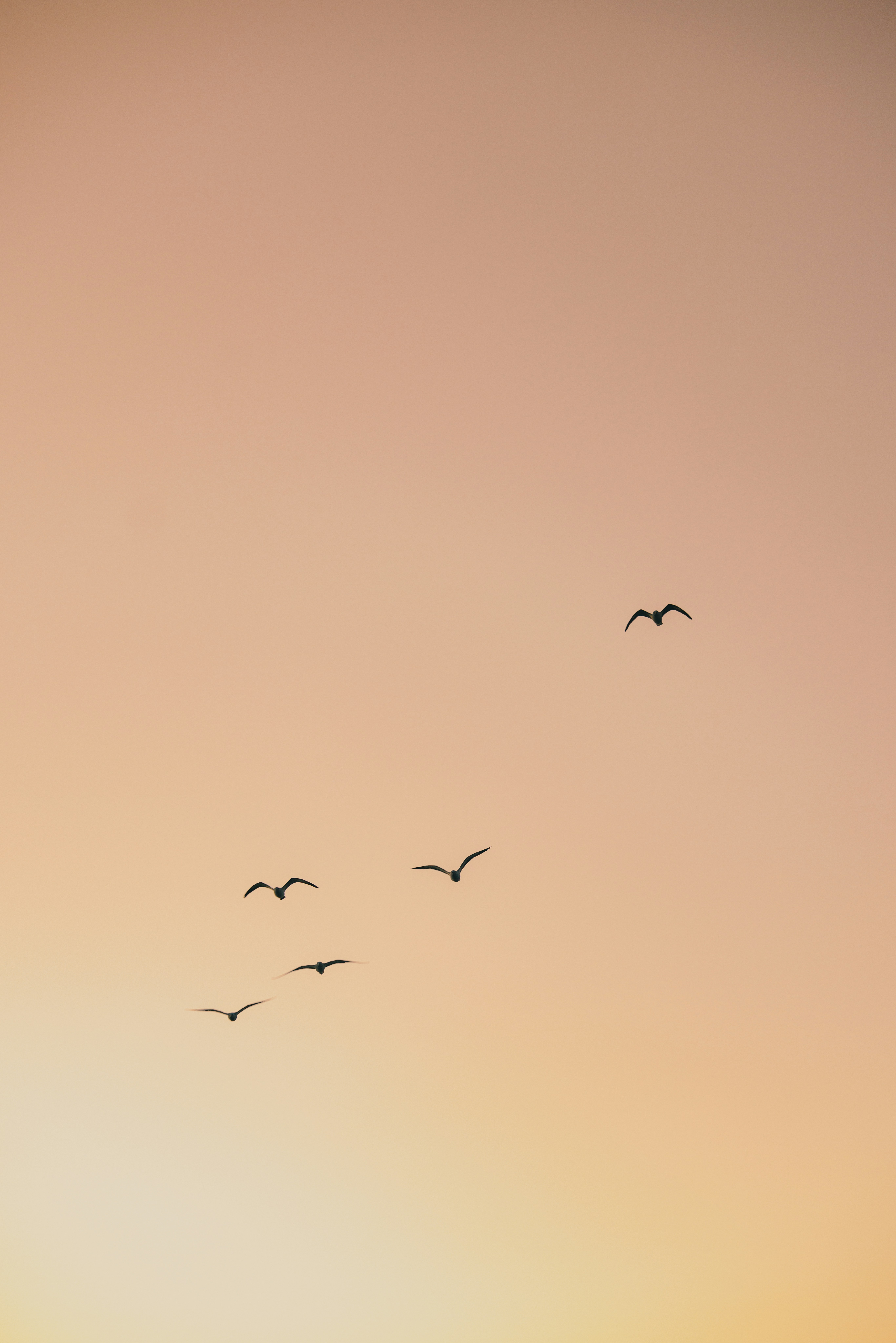 Photo by joshwithers