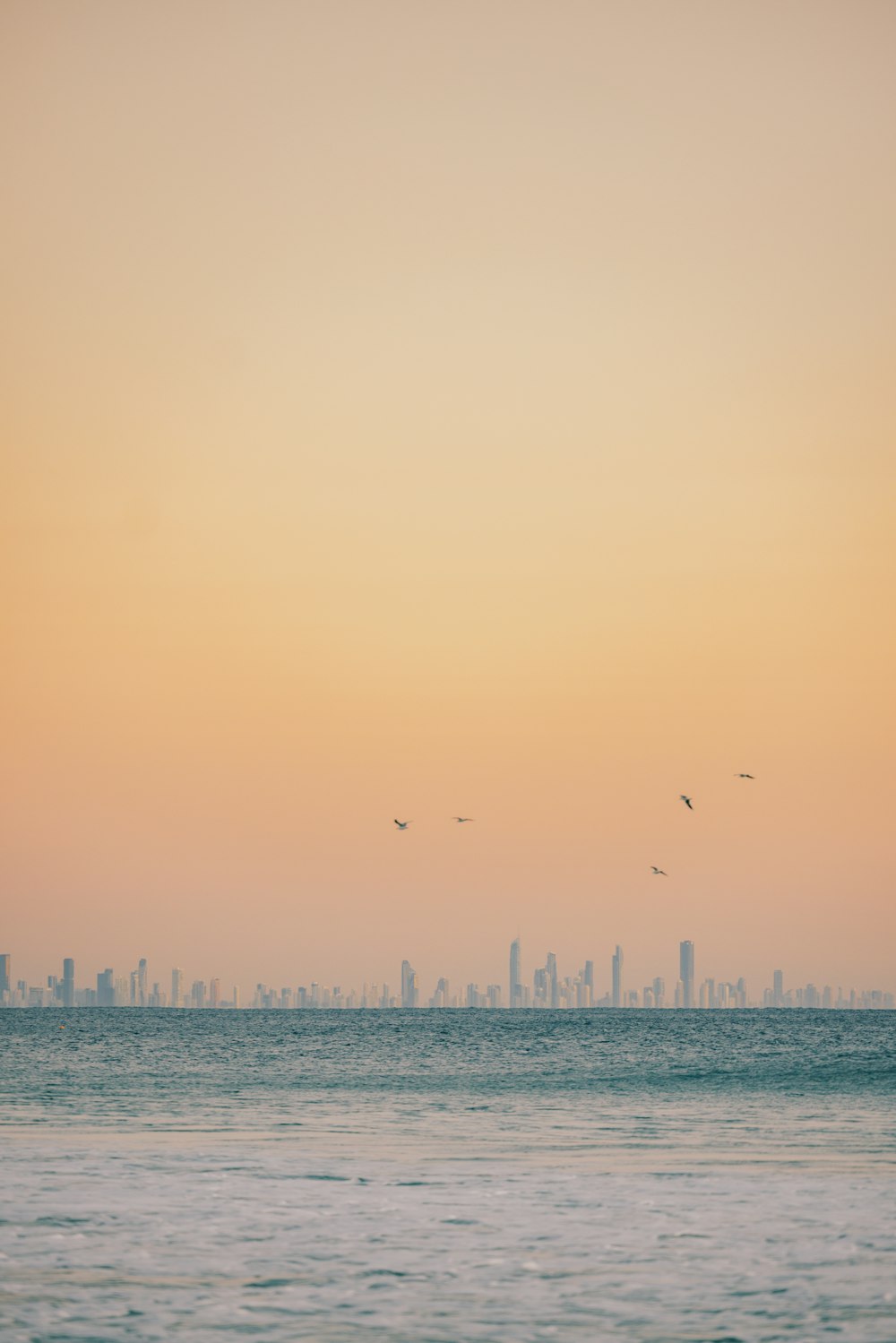 birds flying over water