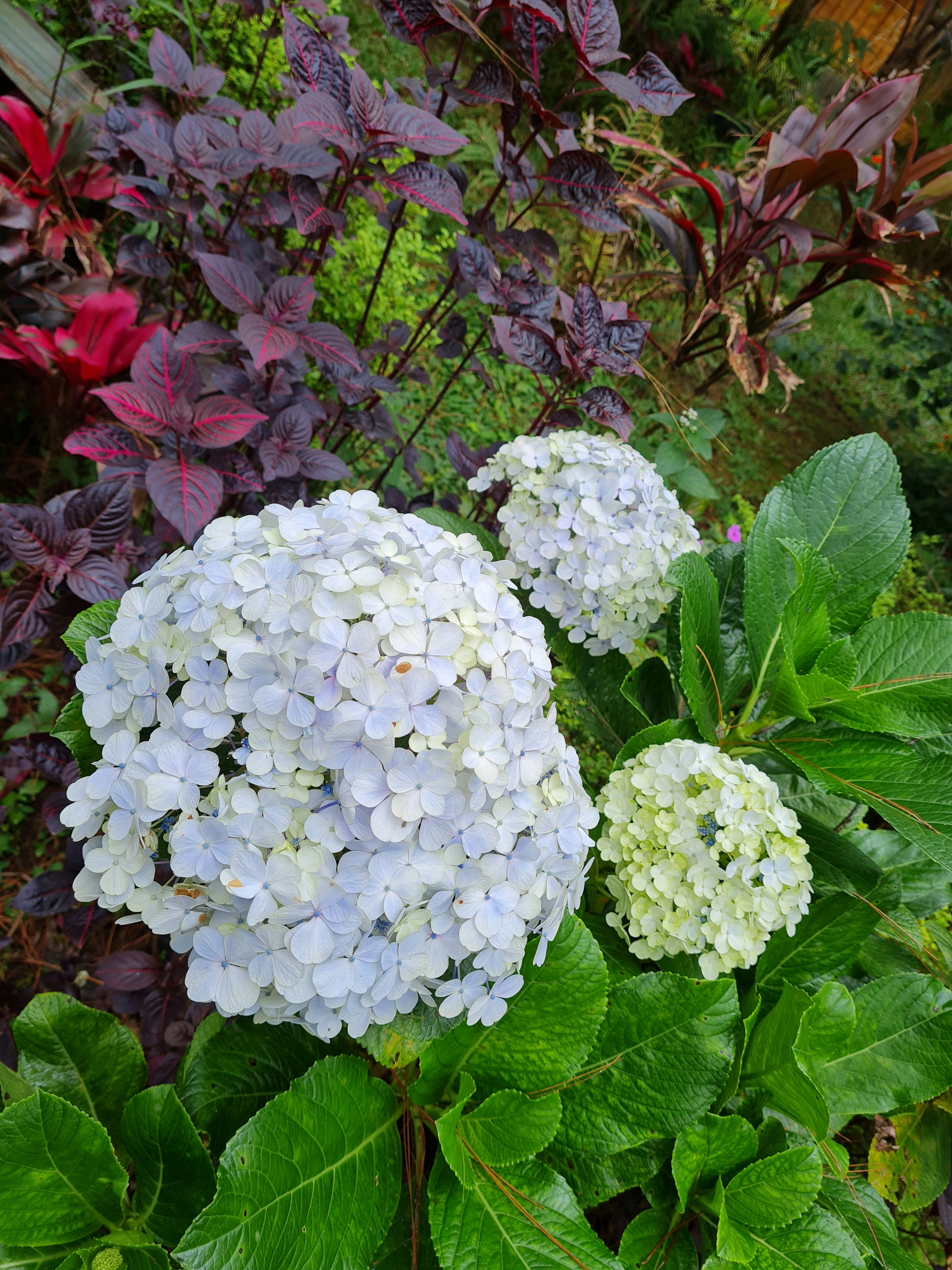 Photo by farida_aidah