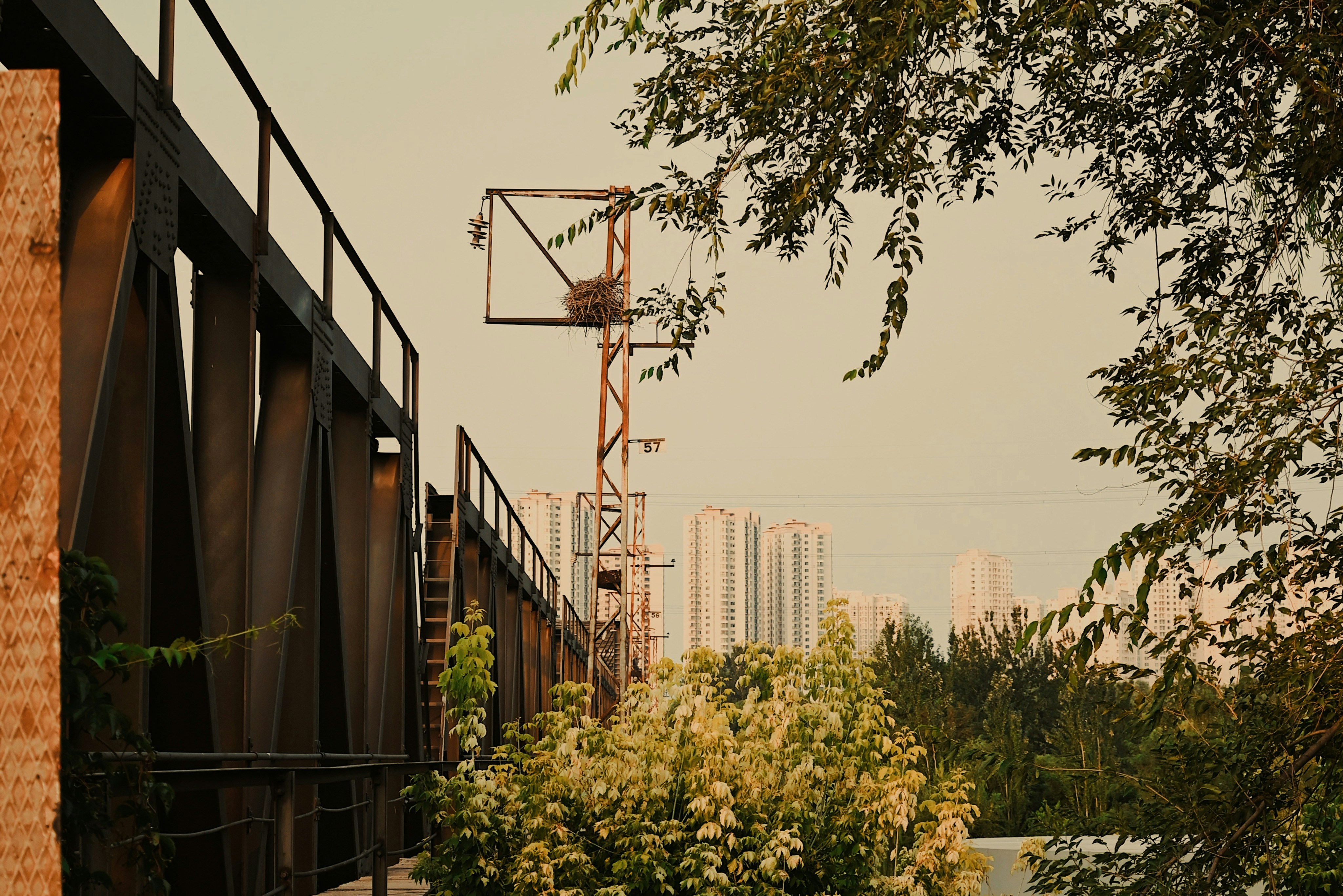 Containers in Camp Meeker, CA