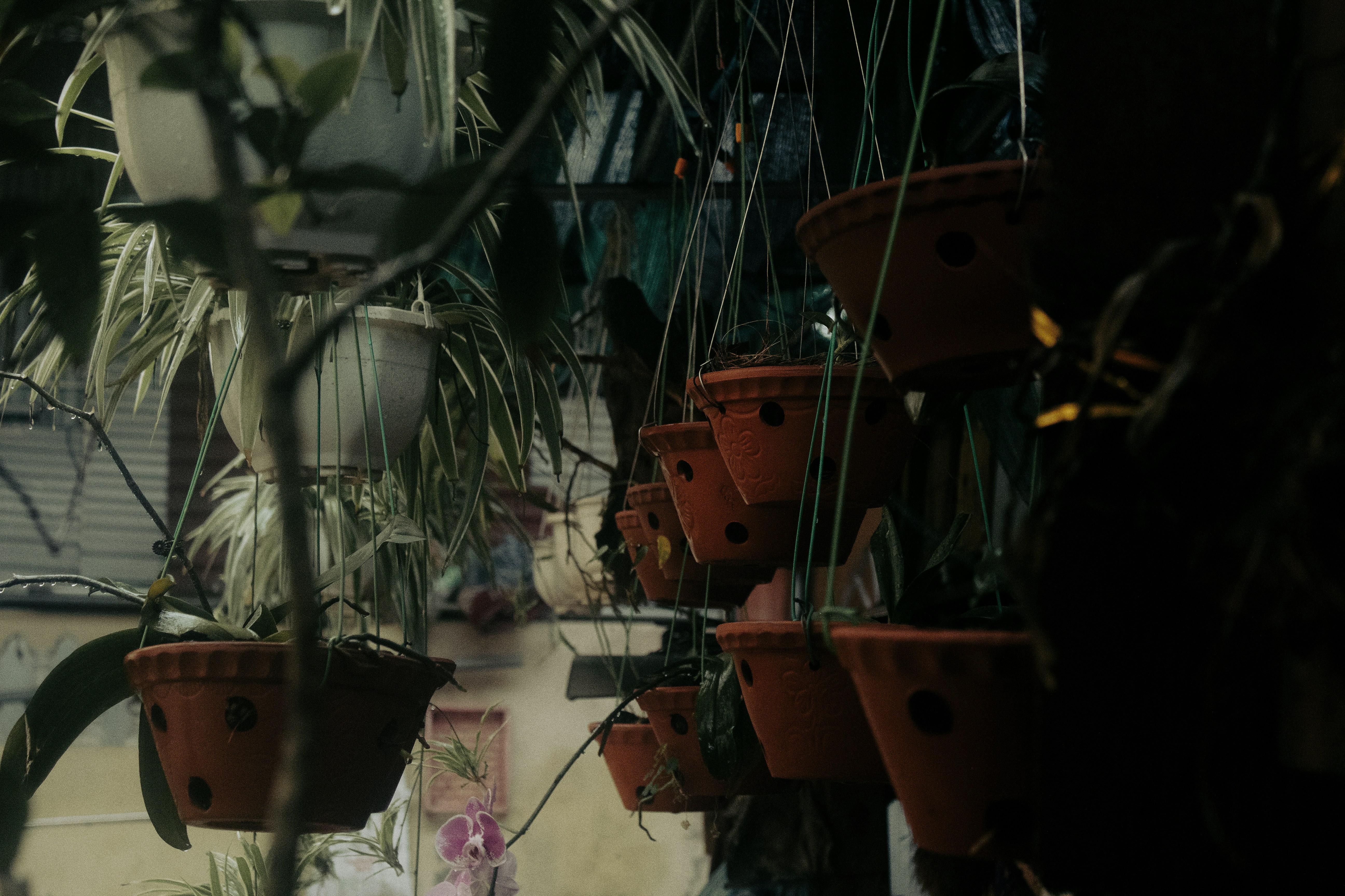 Photo by lm_____turtle02