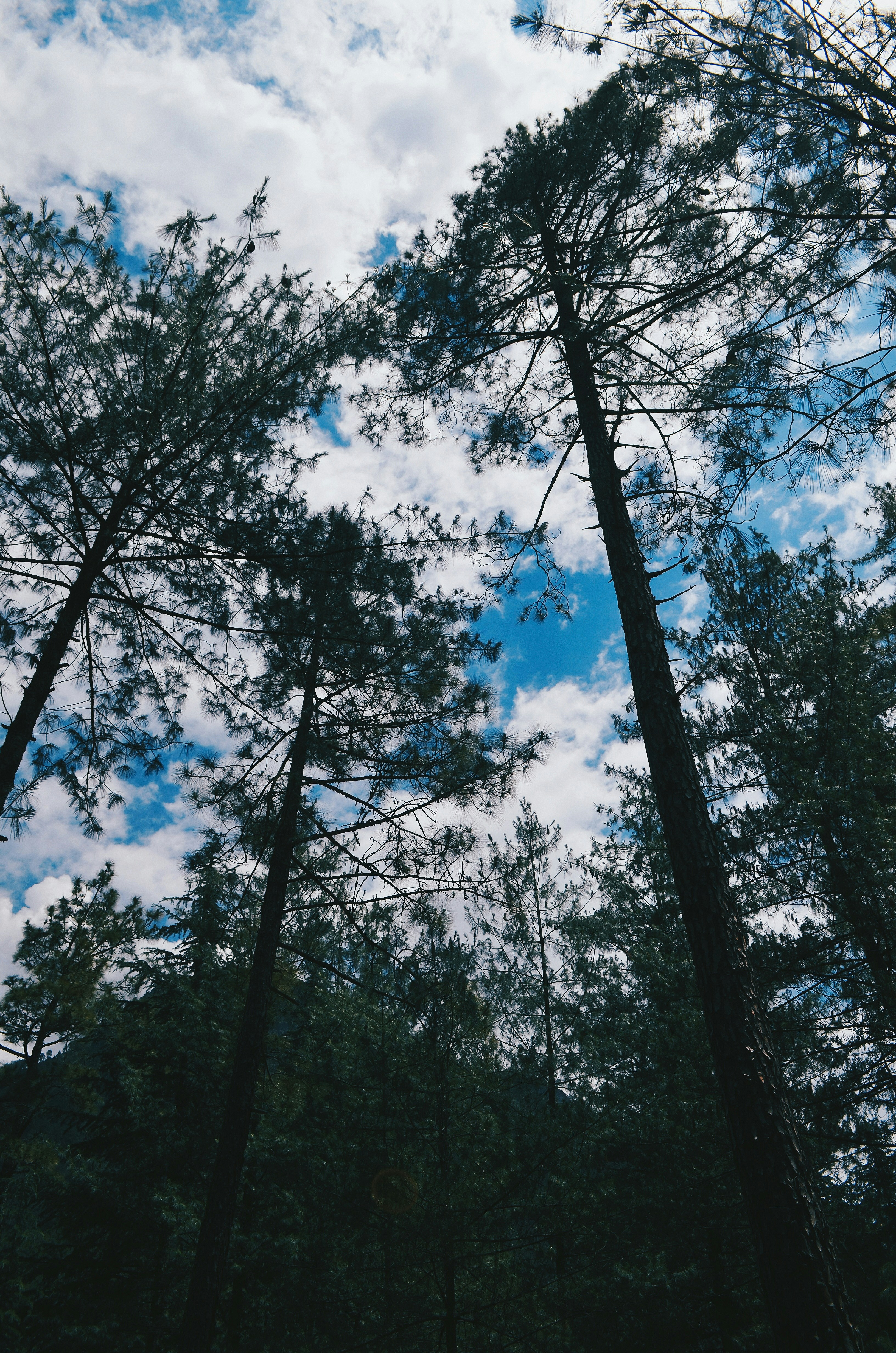 Photo by isitrequired