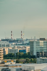 a rainbow over a city