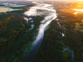 A lush, green forest landscape with a winding river cutting through the dense trees. Mist hovers gently above the water, while the sun casts a warm golden glow on the horizon, highlighting the vibrant colors of the landscape.