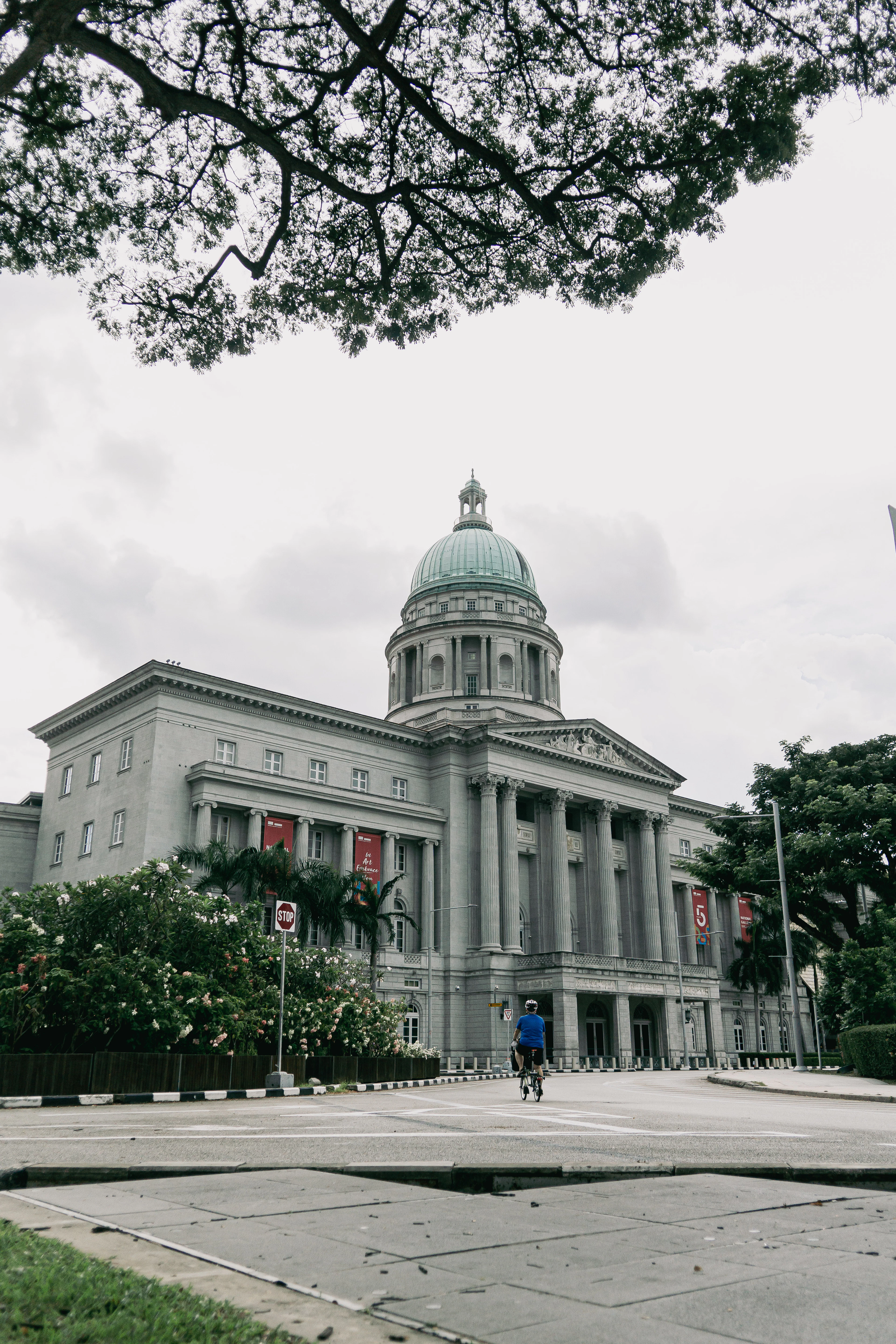 The former Supreme Court wing of the National Gallery Singapore, its green copper dome and columned portico hung with red exhibition banners, framed by overhanging branches on an overcast afternoon.
