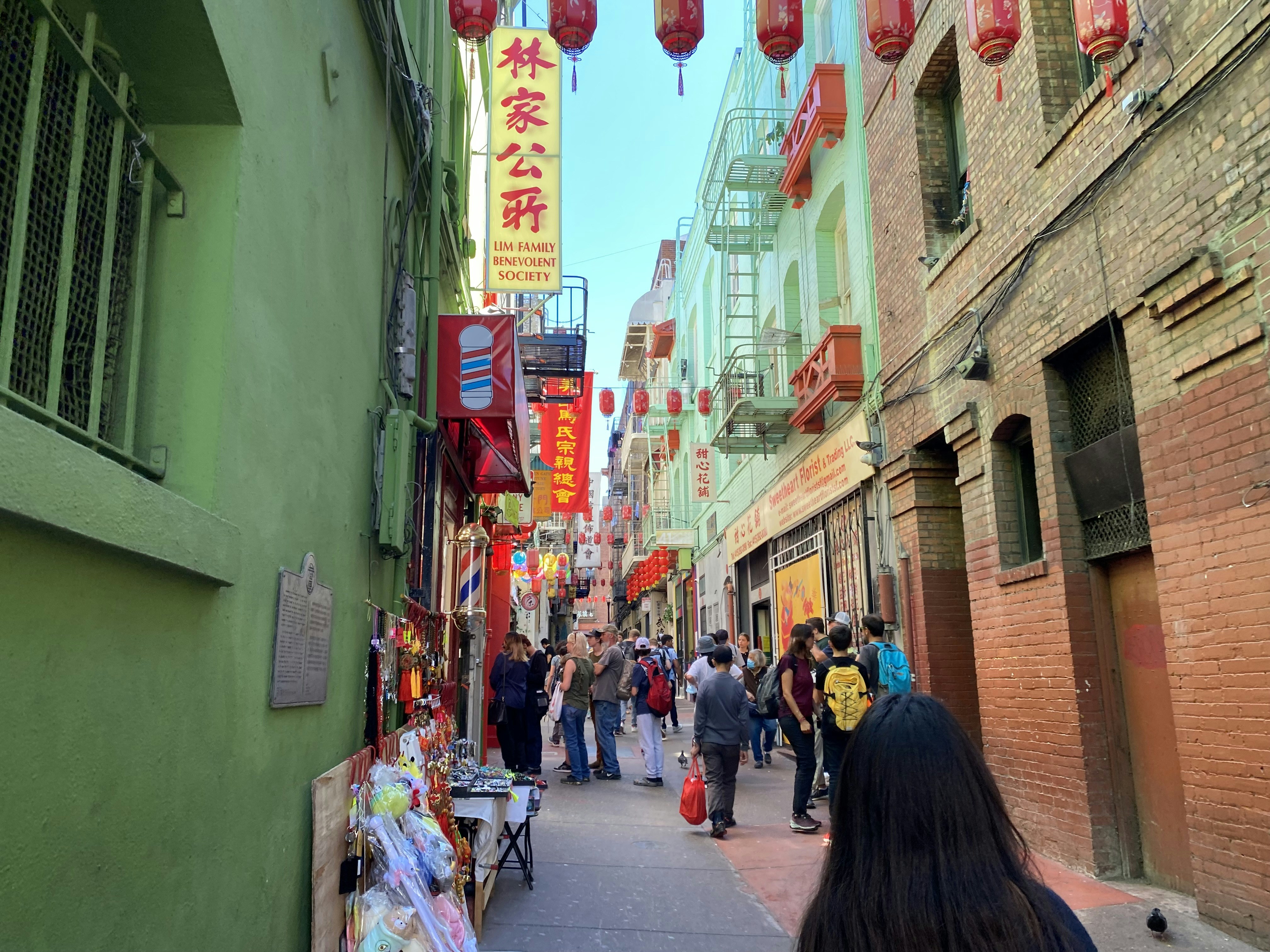 Image by Mateo Garcia via Unsplash