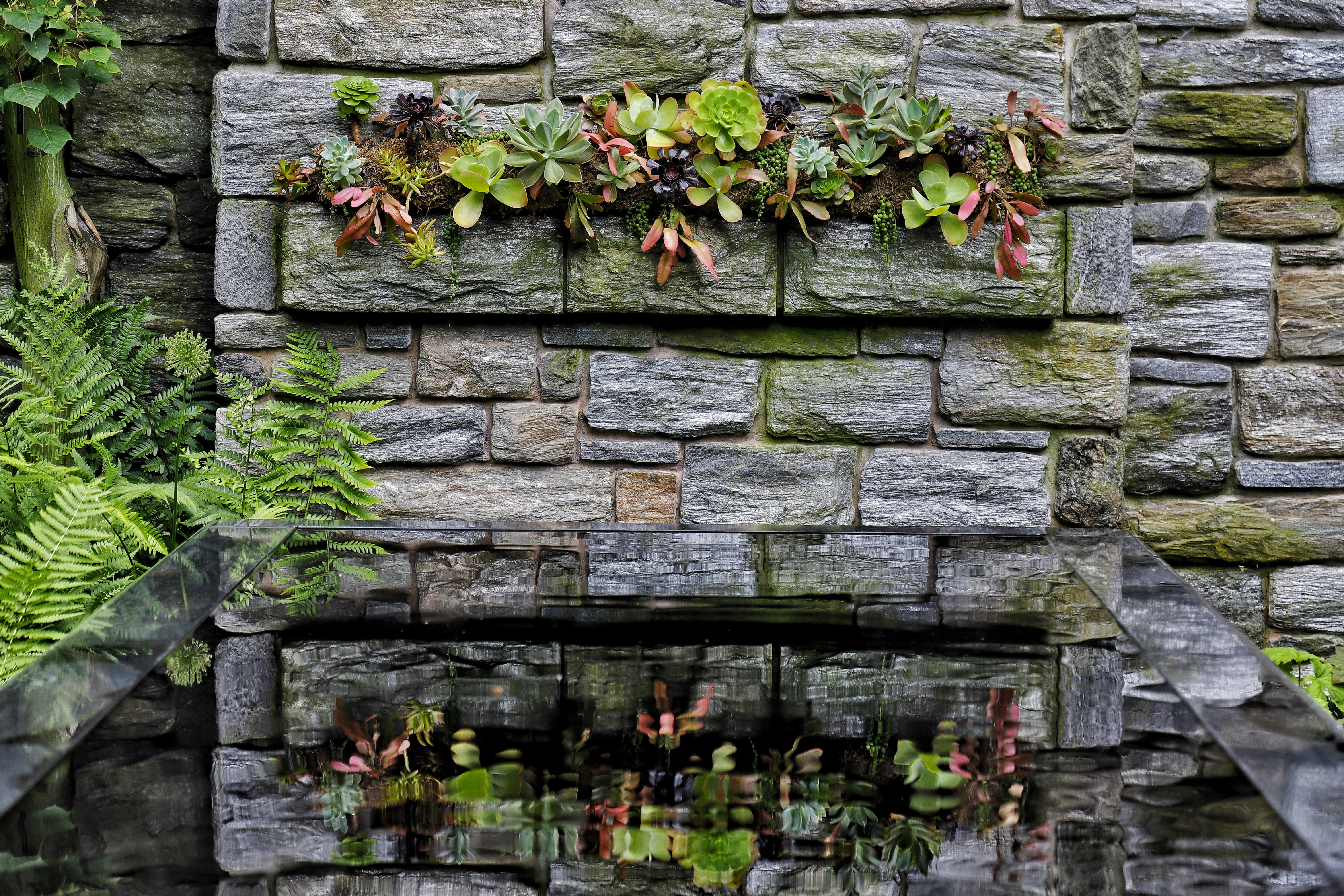 A group of people on a stone wall