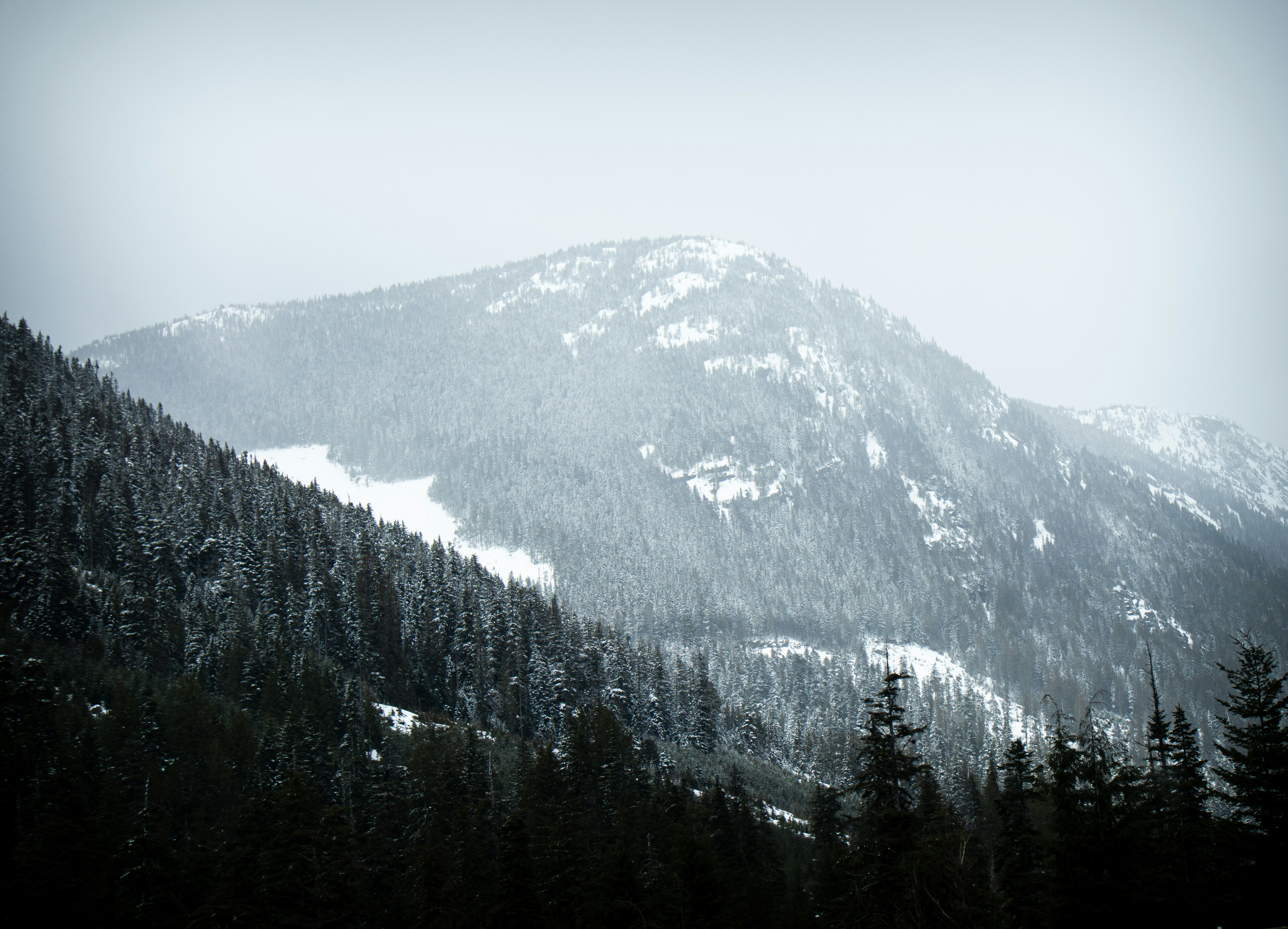 New Research May Lead to Better MS Treatments