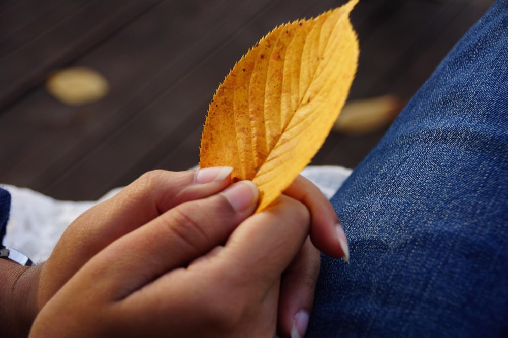 a person holding a piece of food