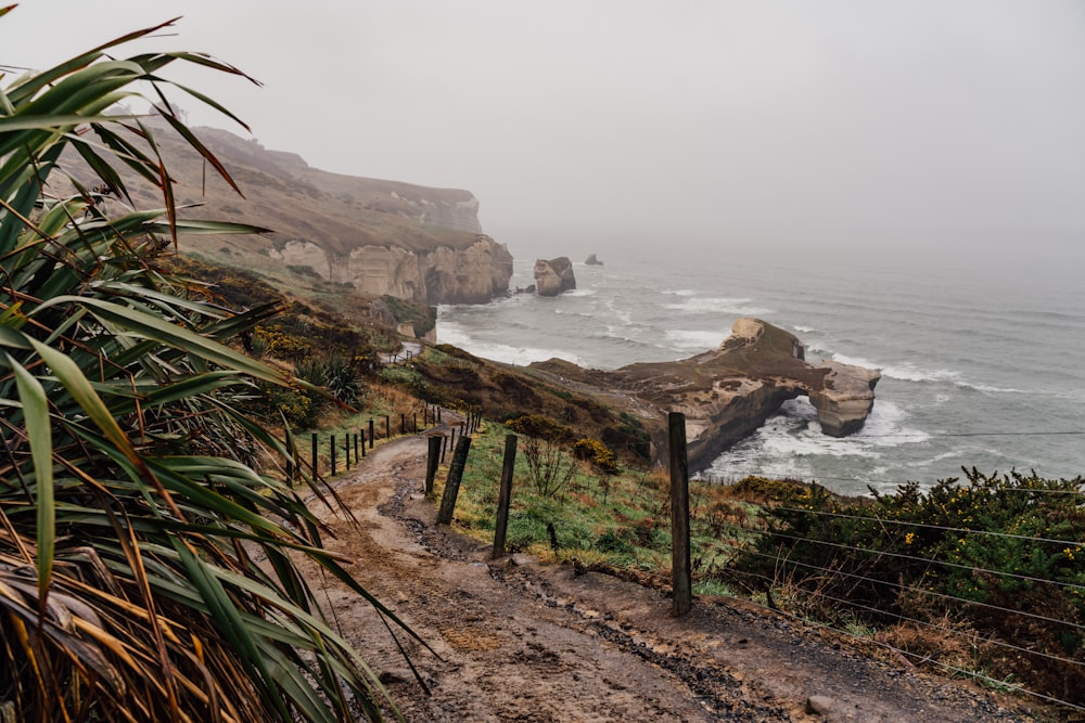 a path leading to a beach