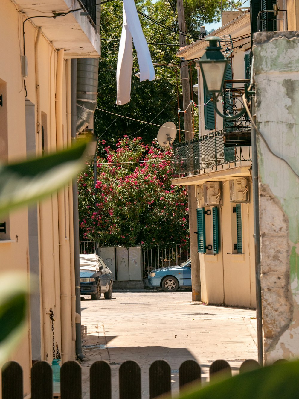 a street with cars and trees