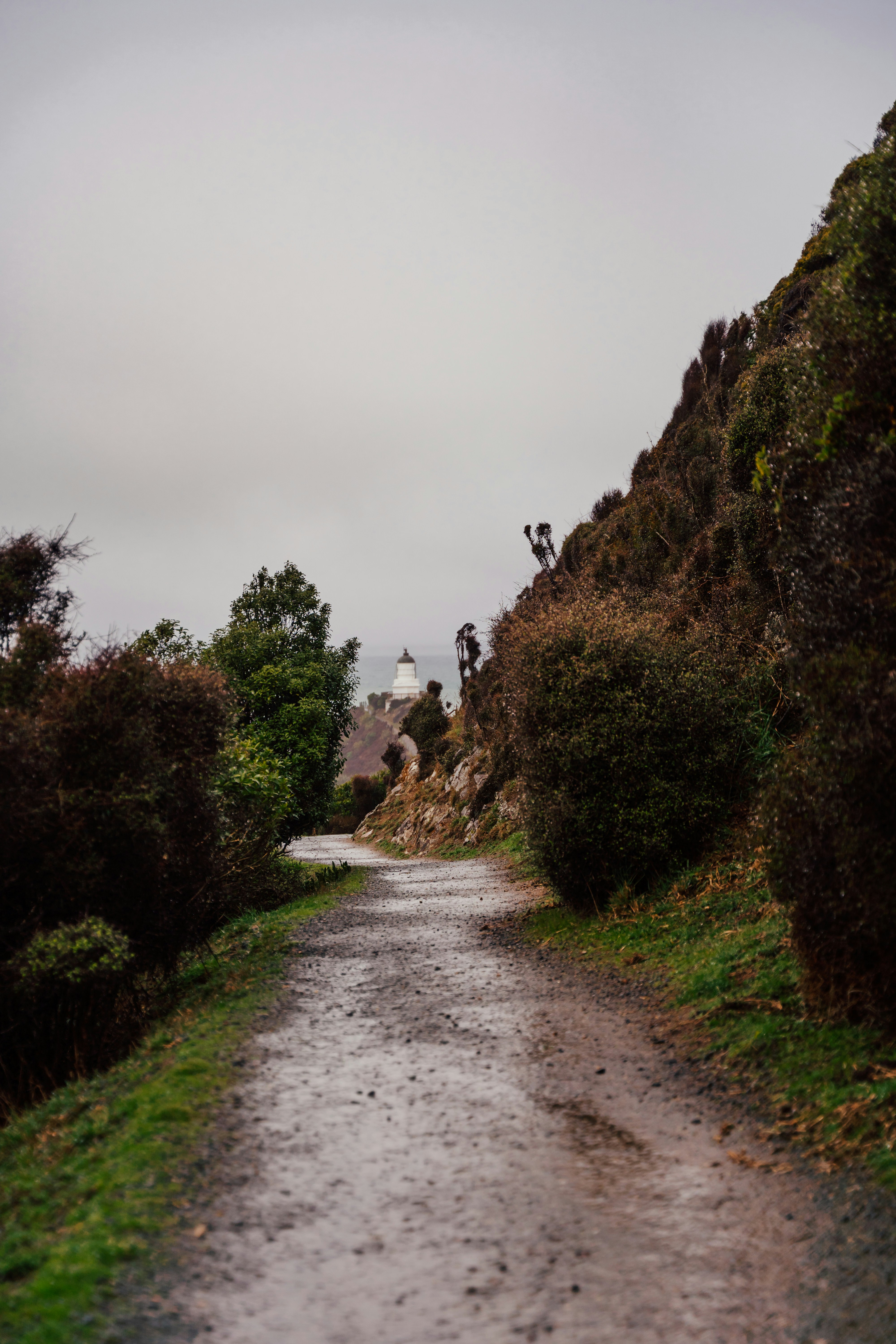 Photo by michellem18