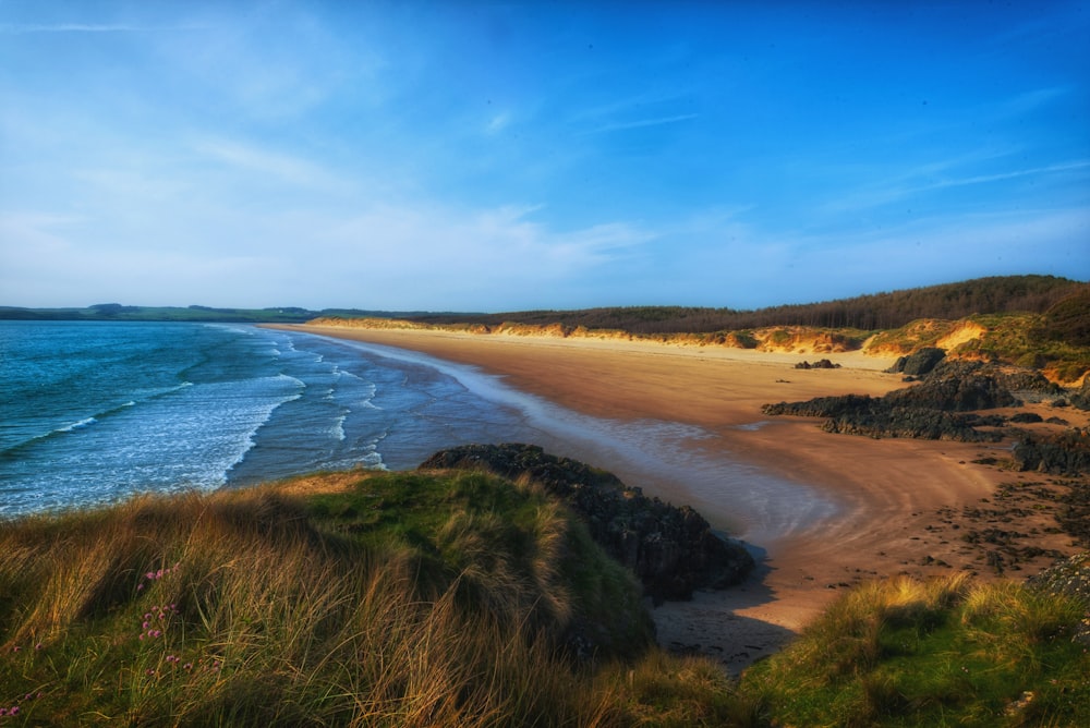 a beach with sand and grass