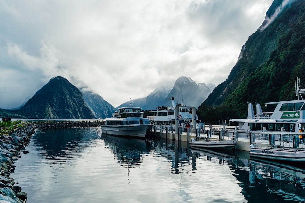 boats docked at a pier with Milford Sound in the background