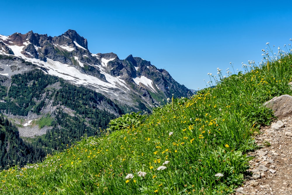 a grassy hill with a valley below