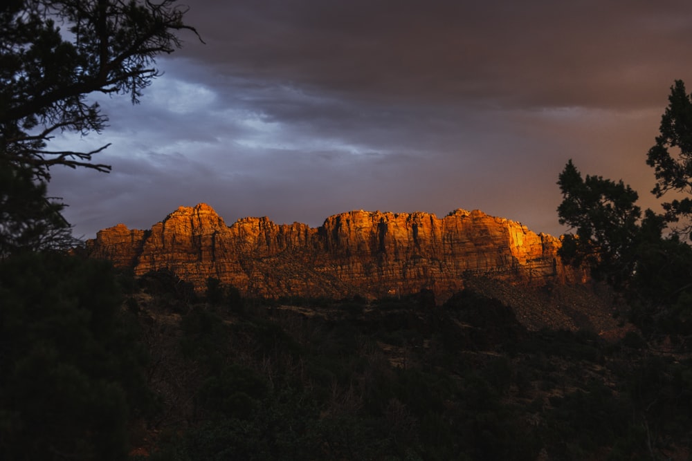 a rocky mountain with trees