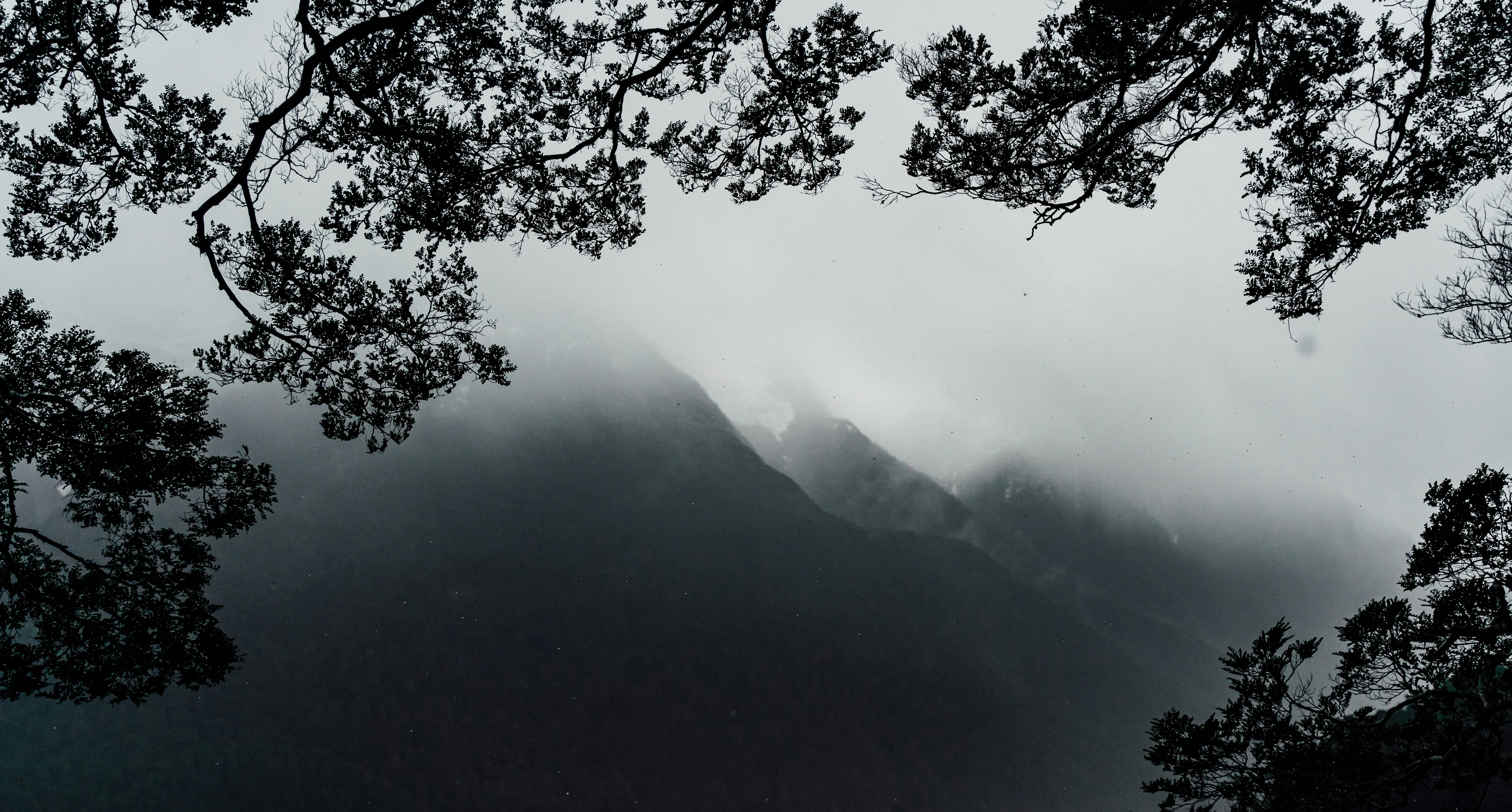 Photo by michellem18