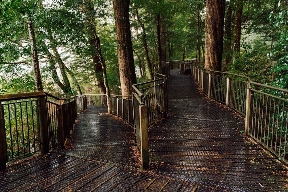 a wooden bridge in a forest