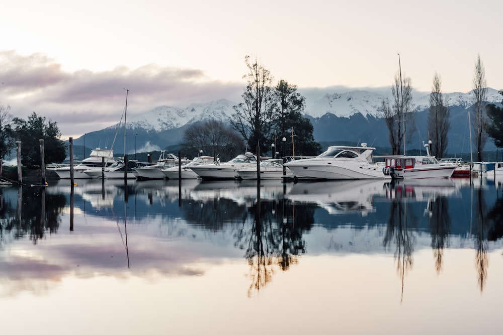 a group of boats sit in a harbor