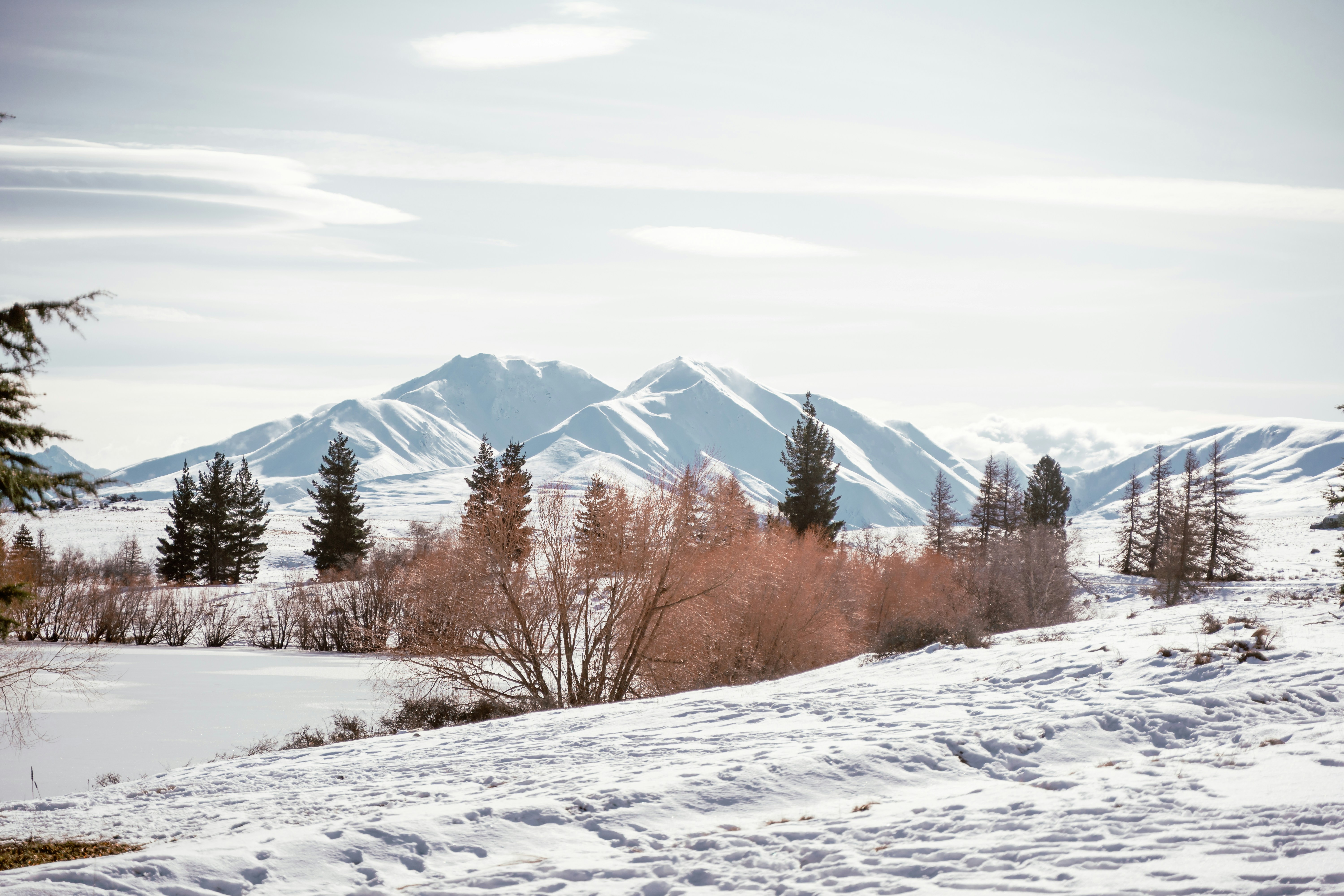 Photo by michellem18