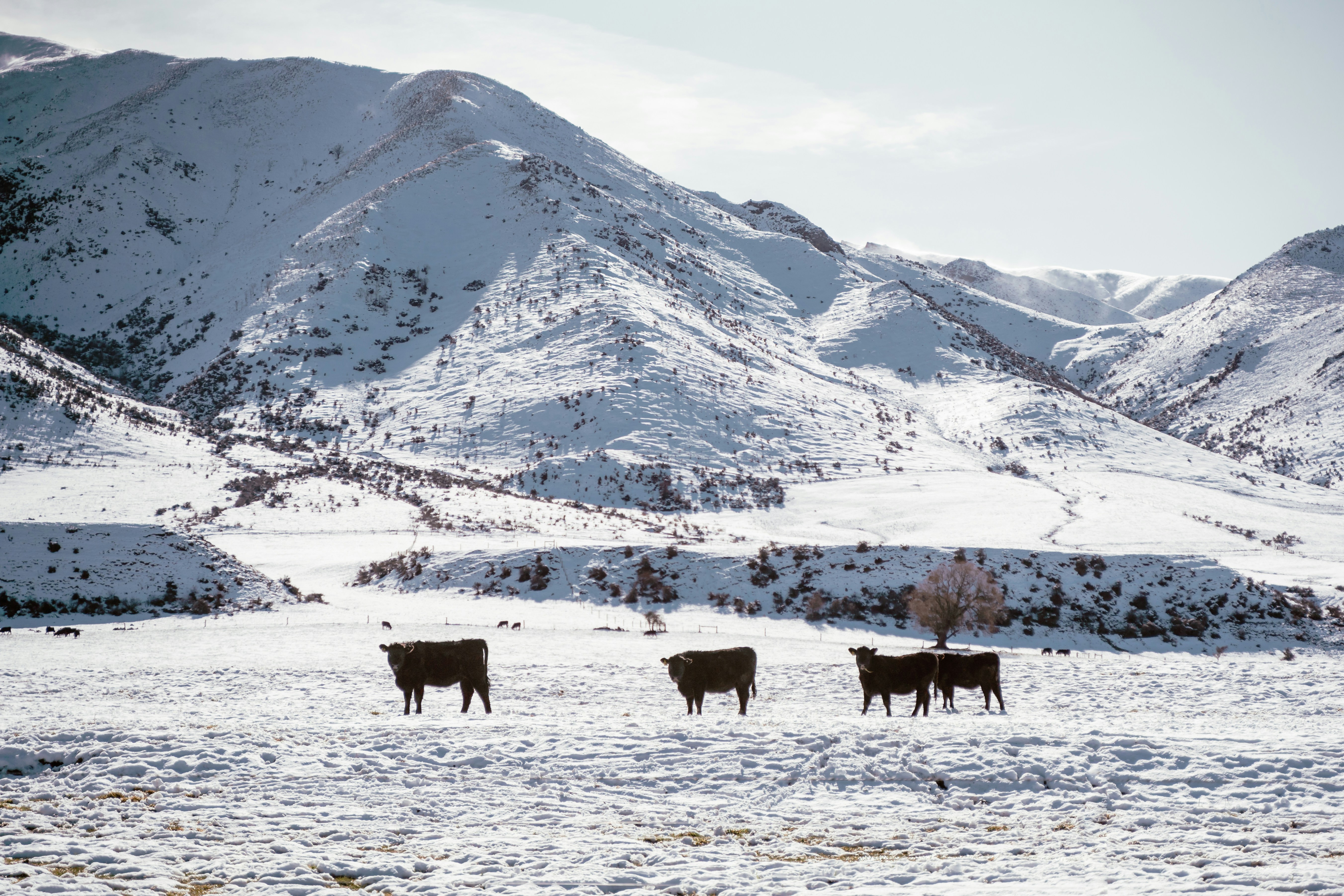 Photo by michellem18