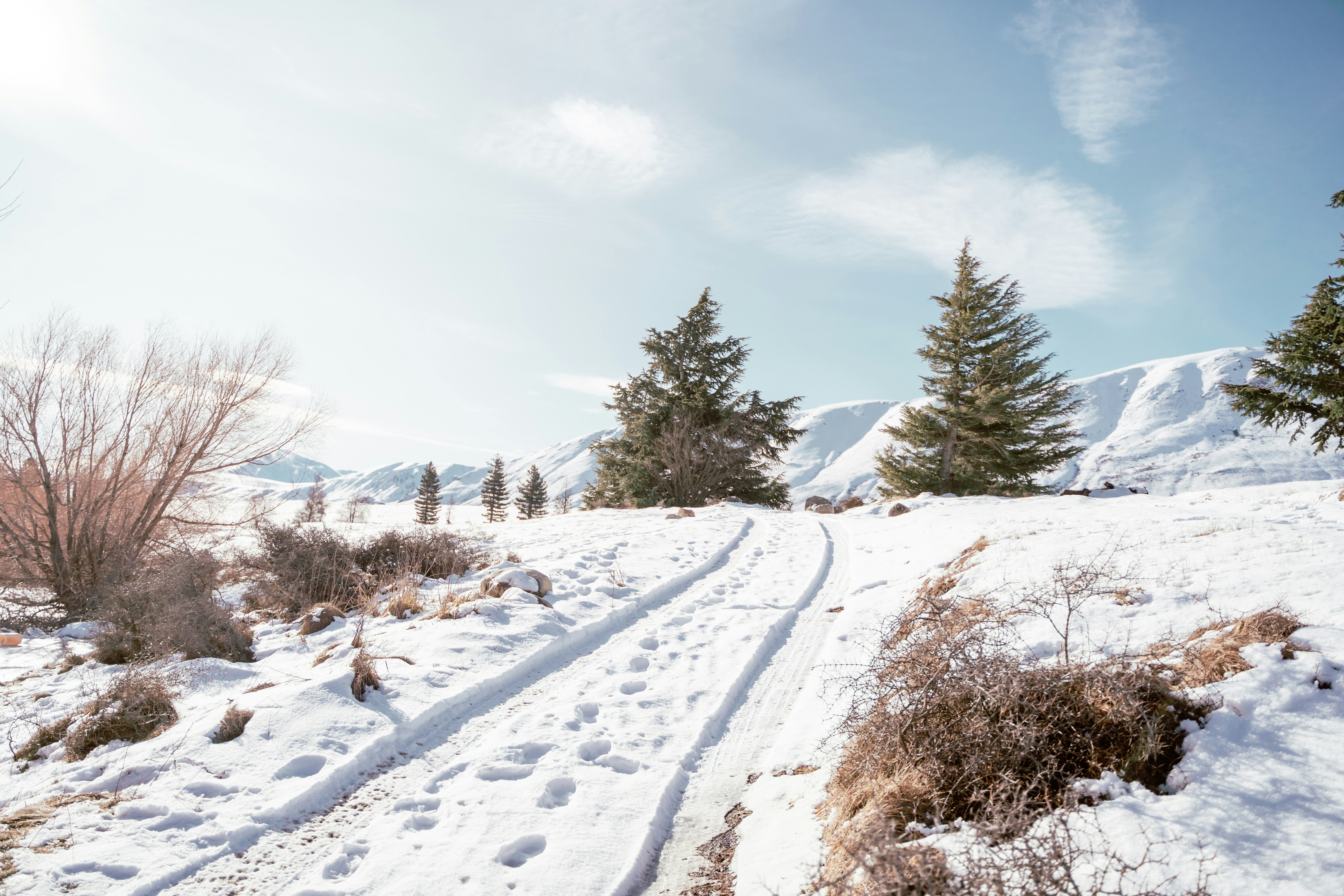 Photo by michellem18