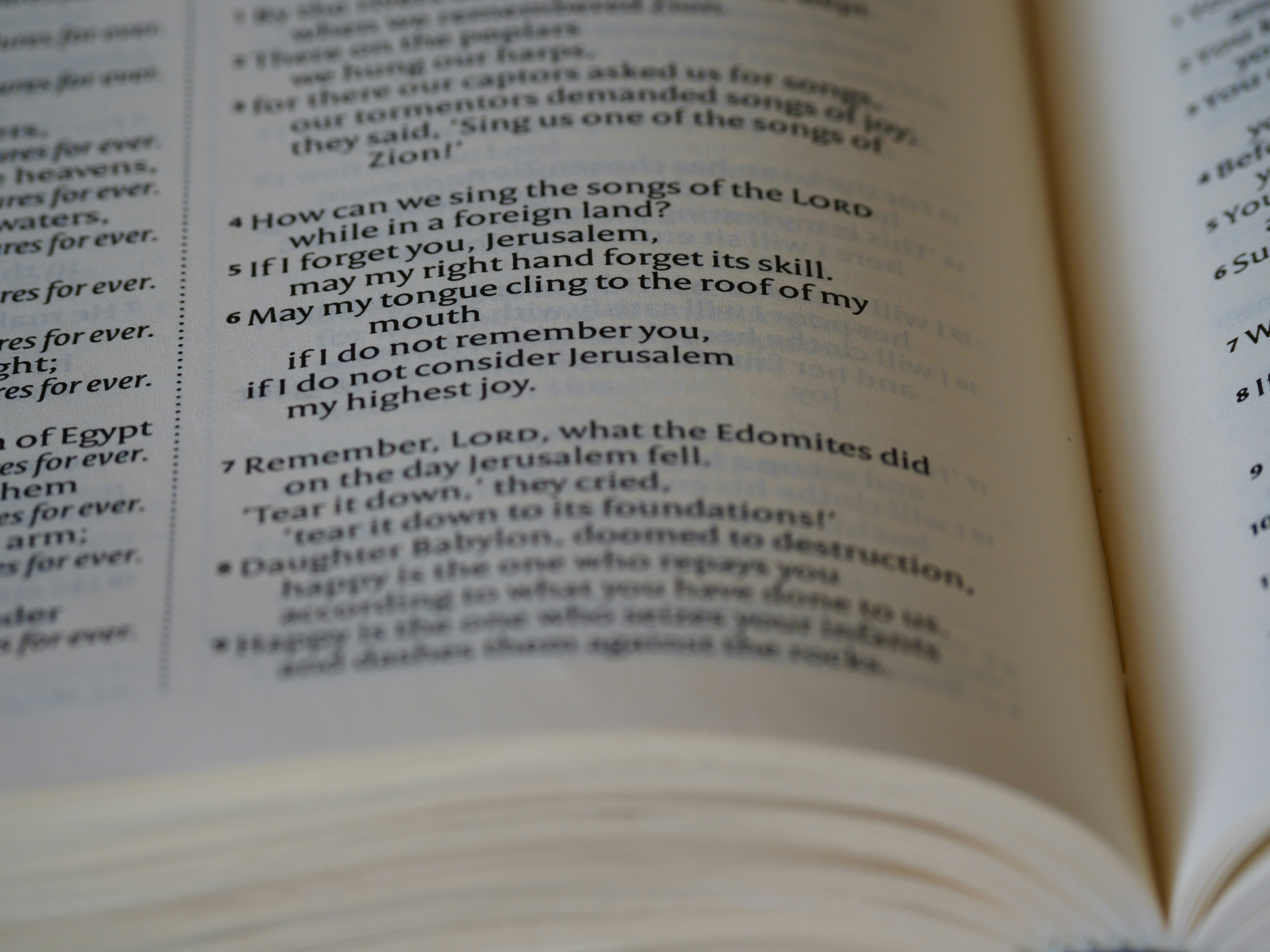 직업상담사 학습 이미지