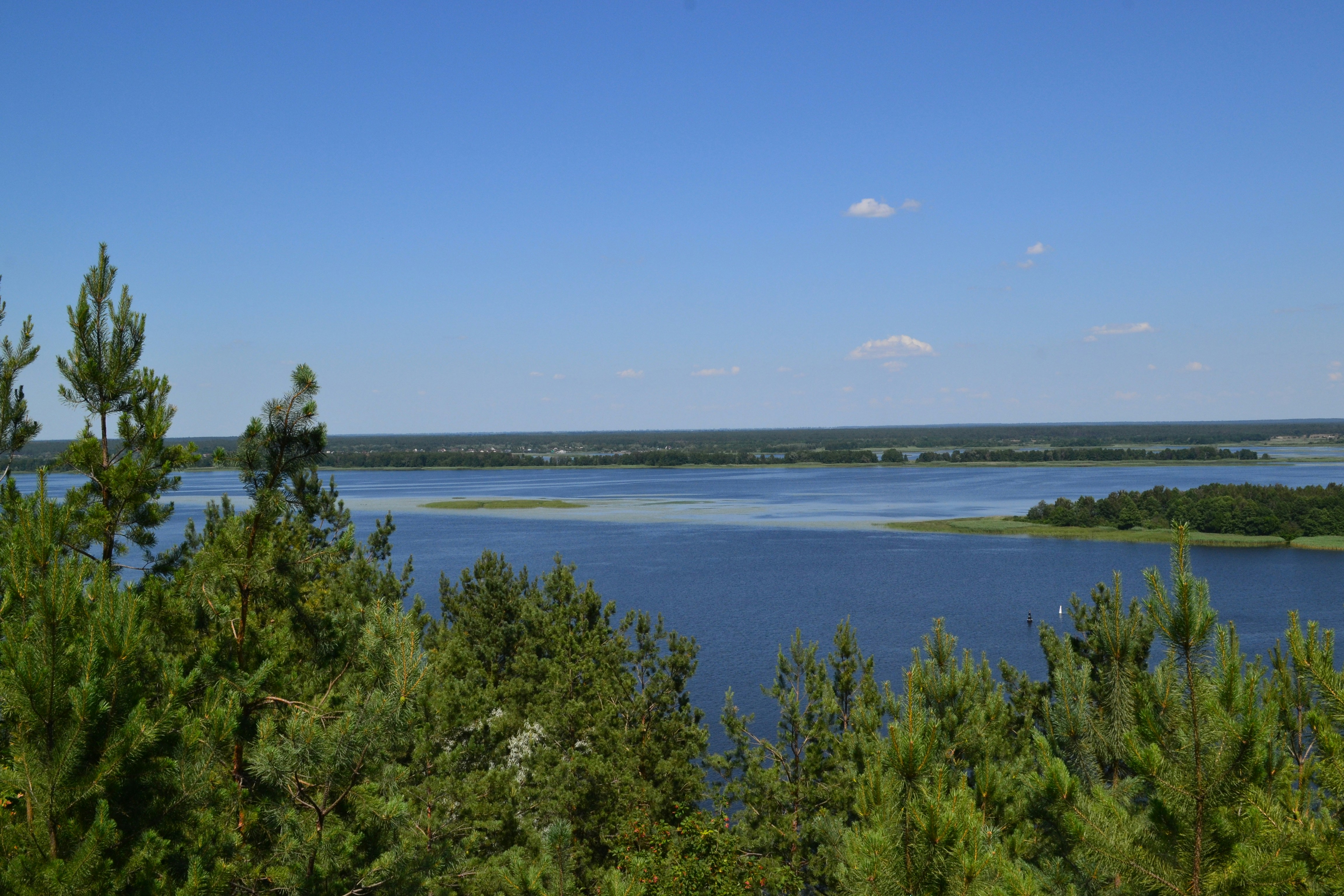 Photo by eugenegrunge