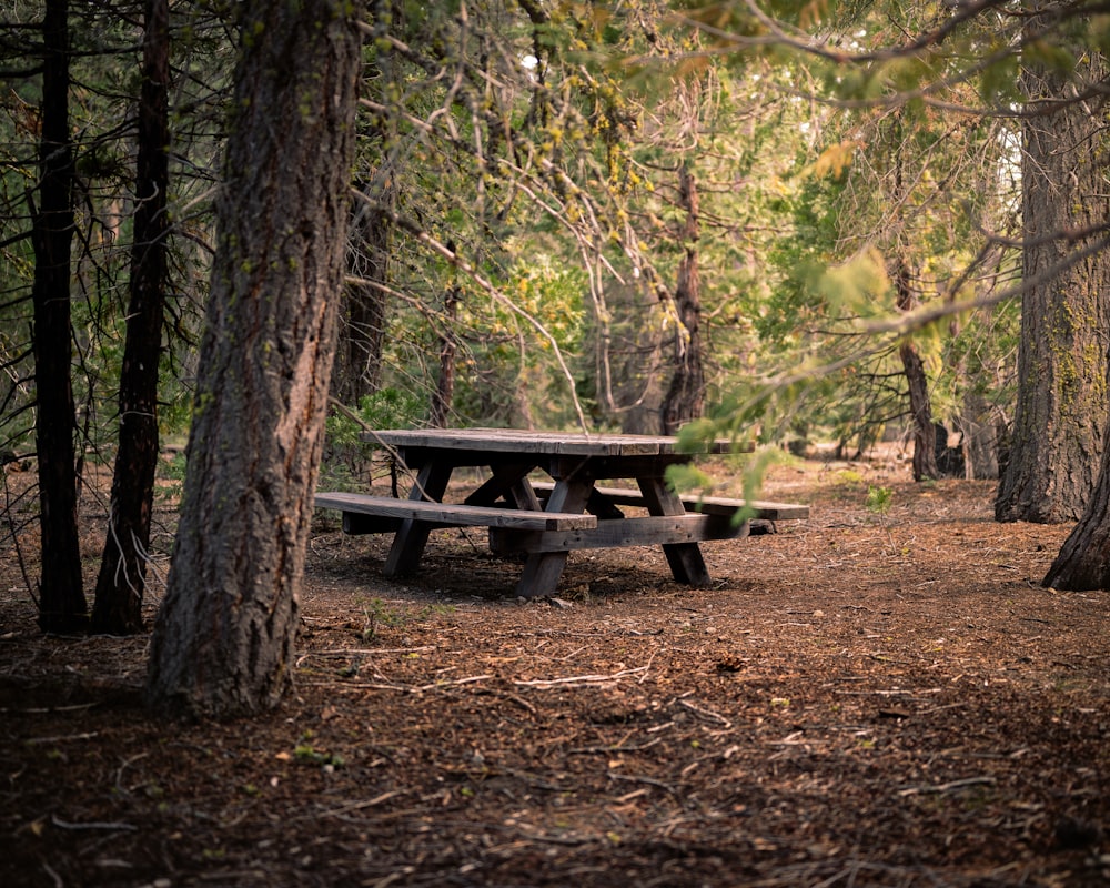 a picnic table in the woods