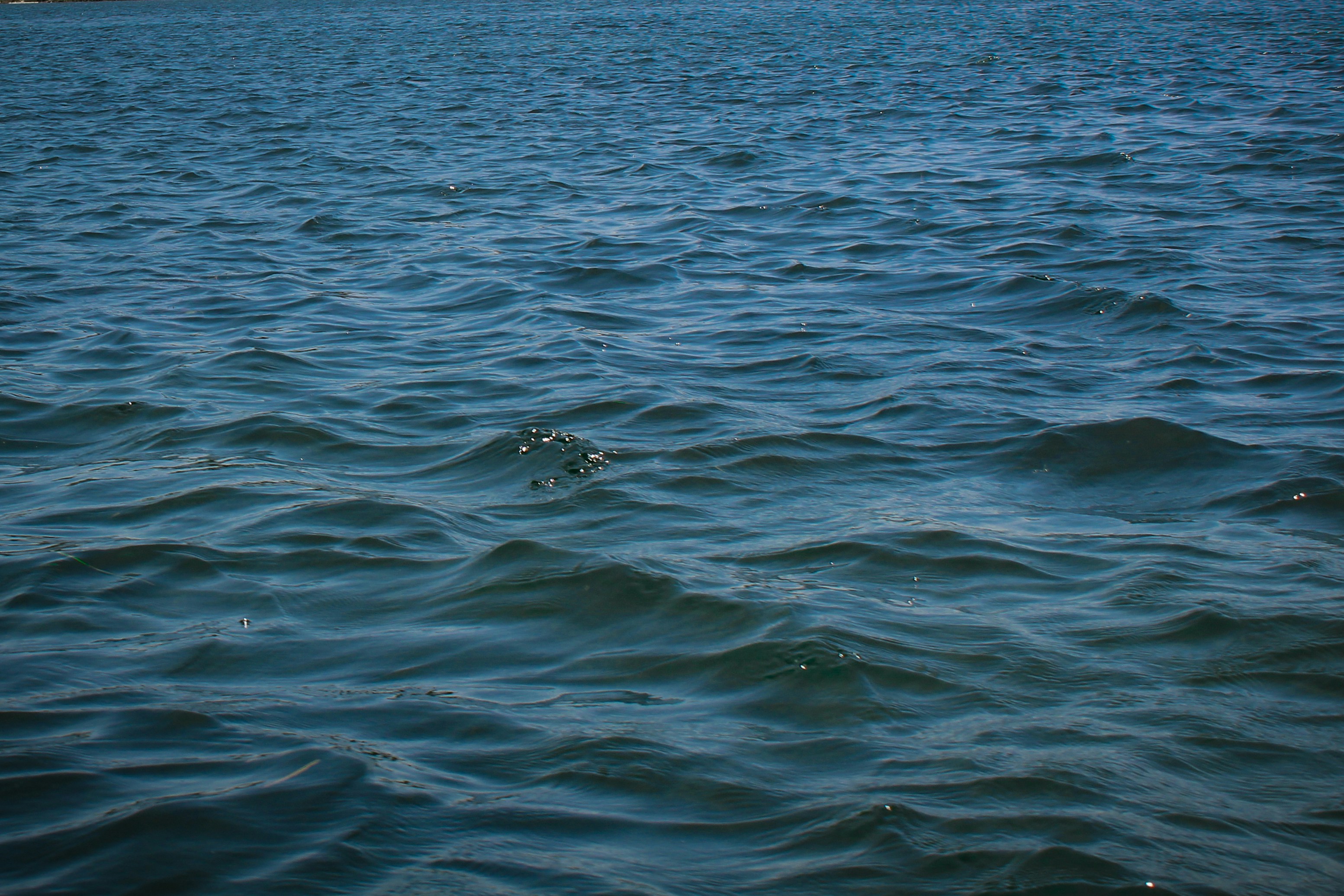 Photo by plate_stories_tsi