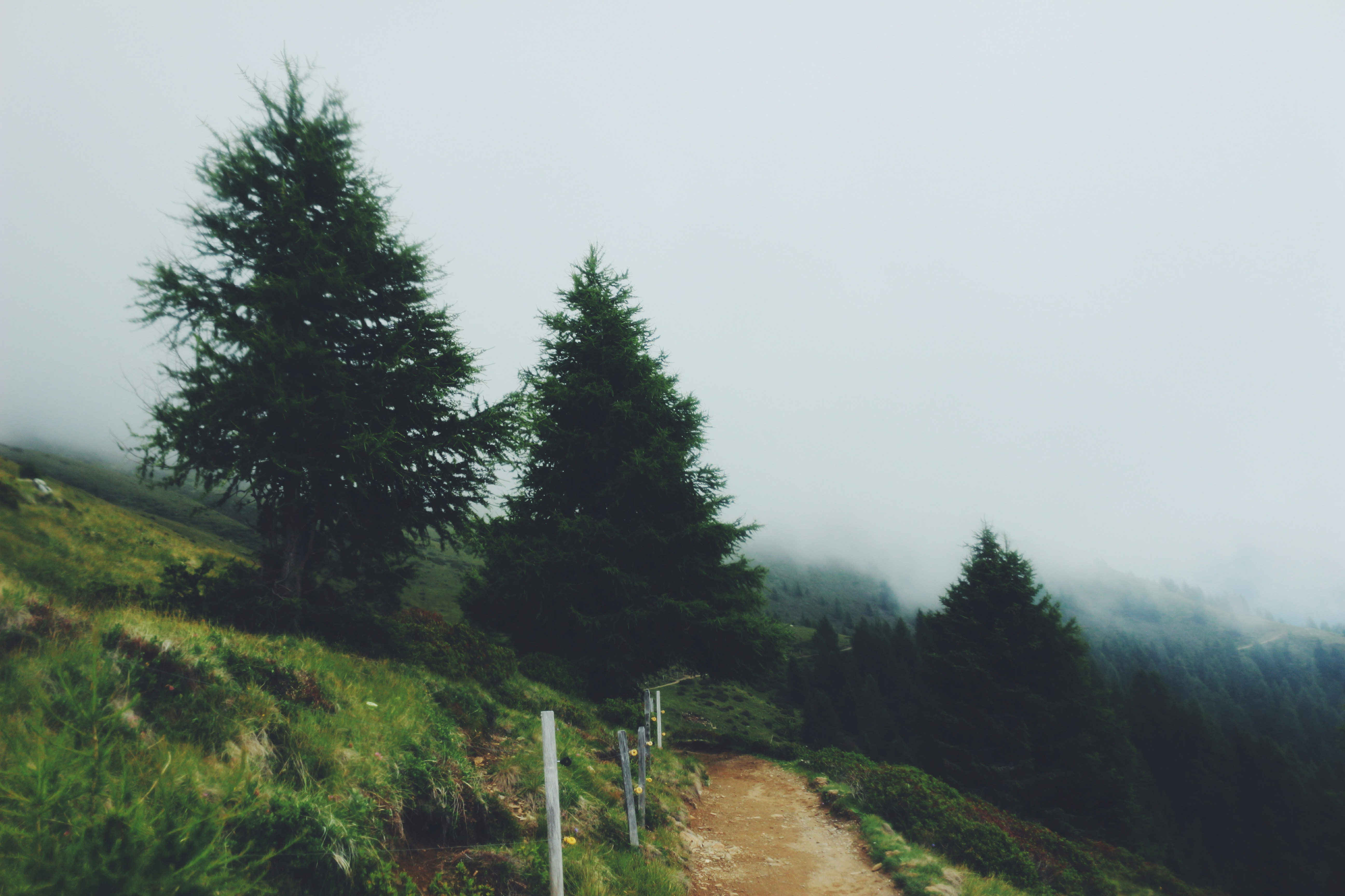 misty mountain trail wallpaper, wallpaper, Camping Near Historic Trails: A Guide to Heritage Hiking 2
