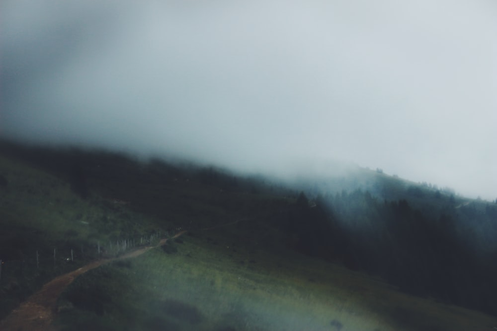 a road going through a foggy valley