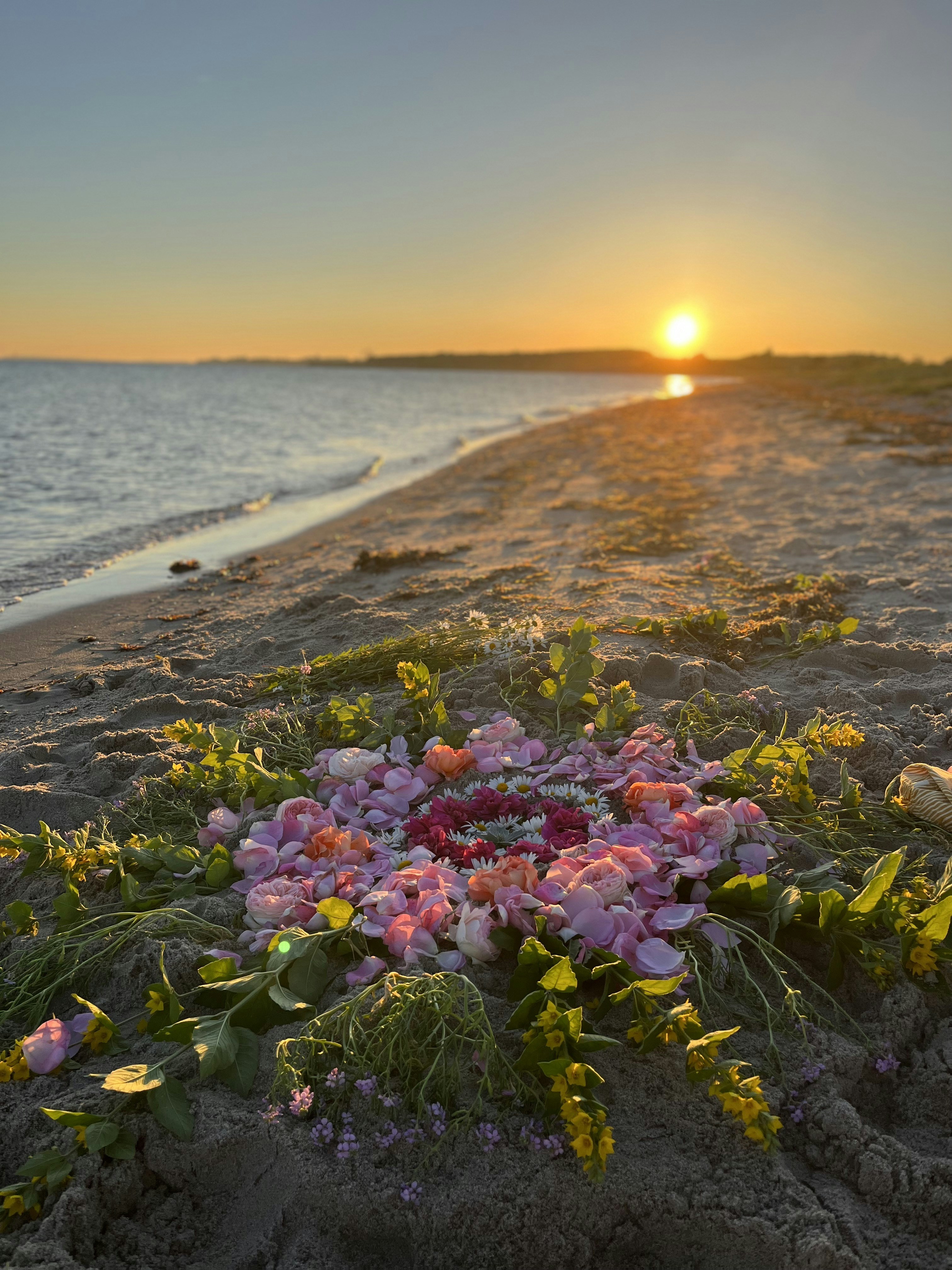 Una playa con flores y agua