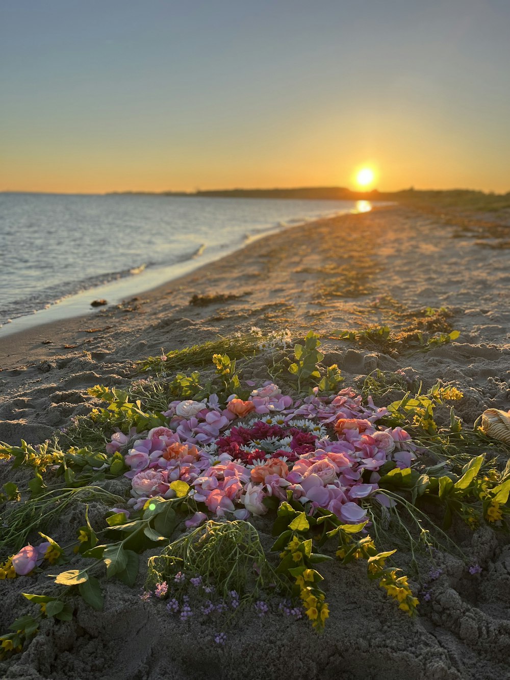 a beach with flowers and water