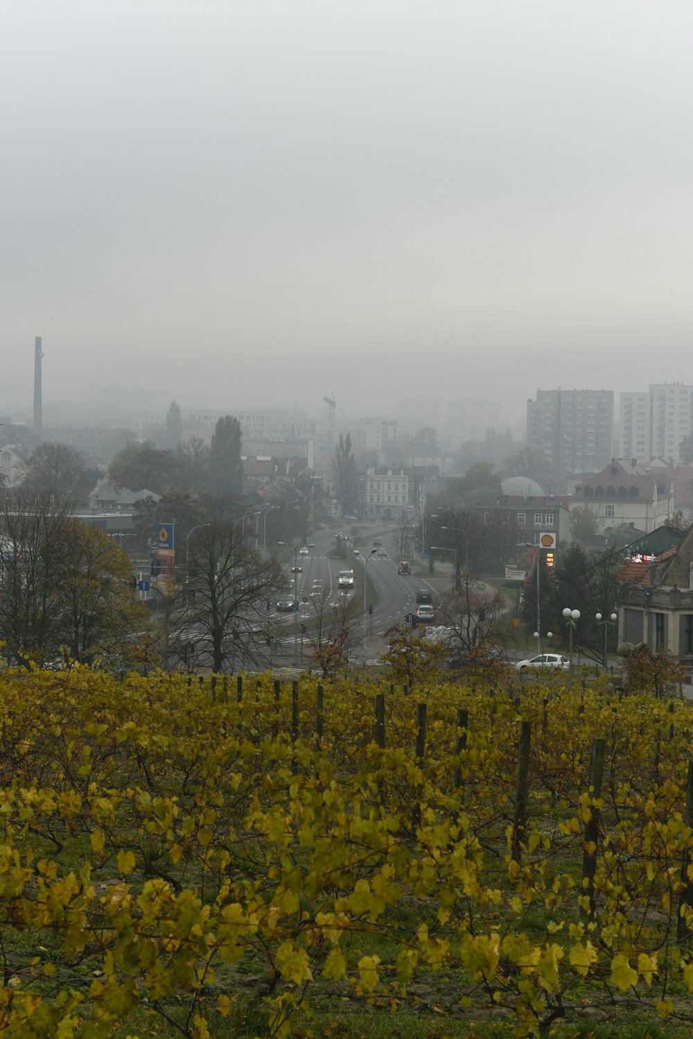 a city with many buildings and trees