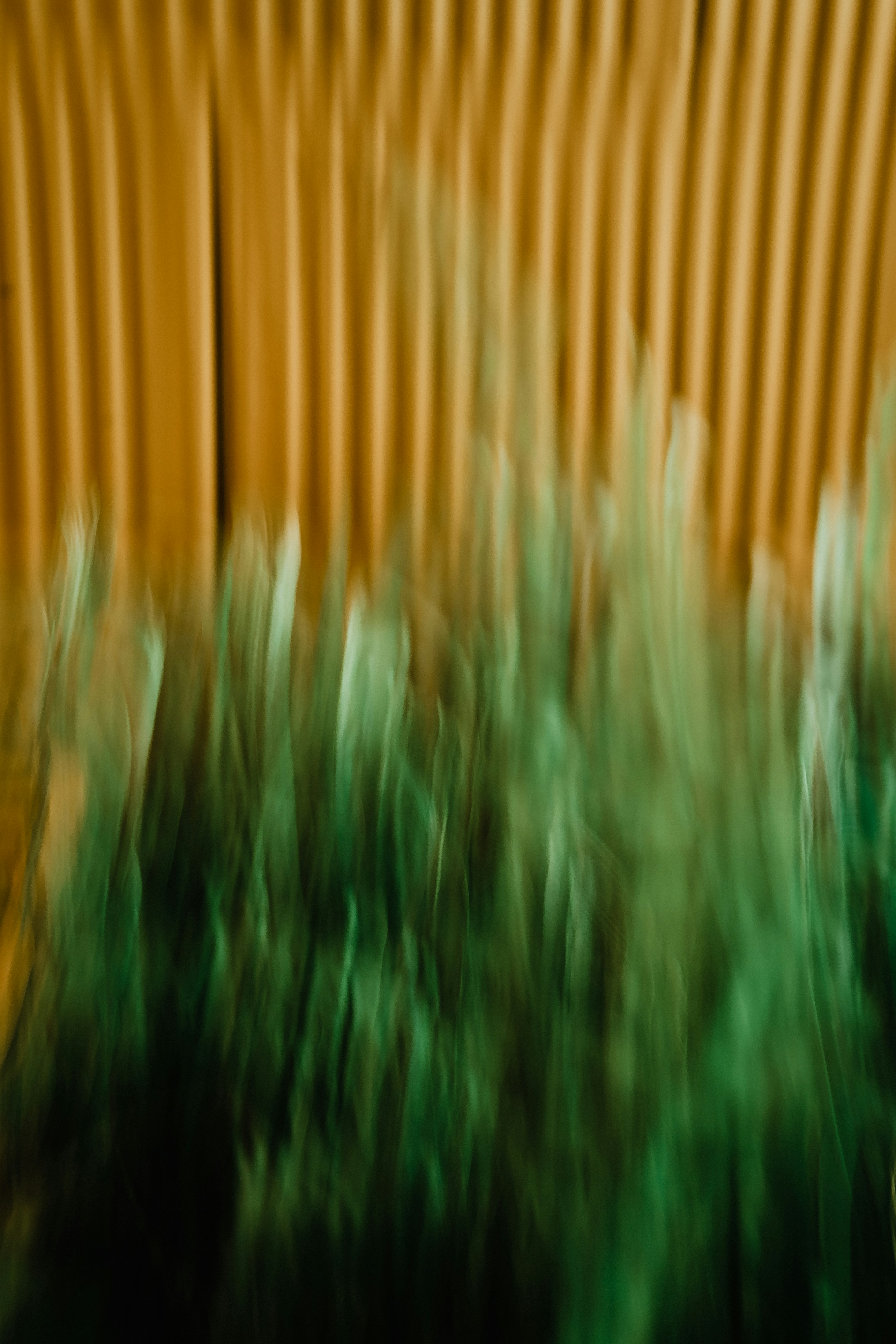 Photo by maksym_tymchyk