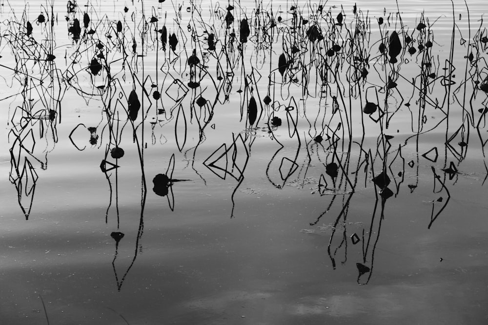 a black and white photo of a cracked surface