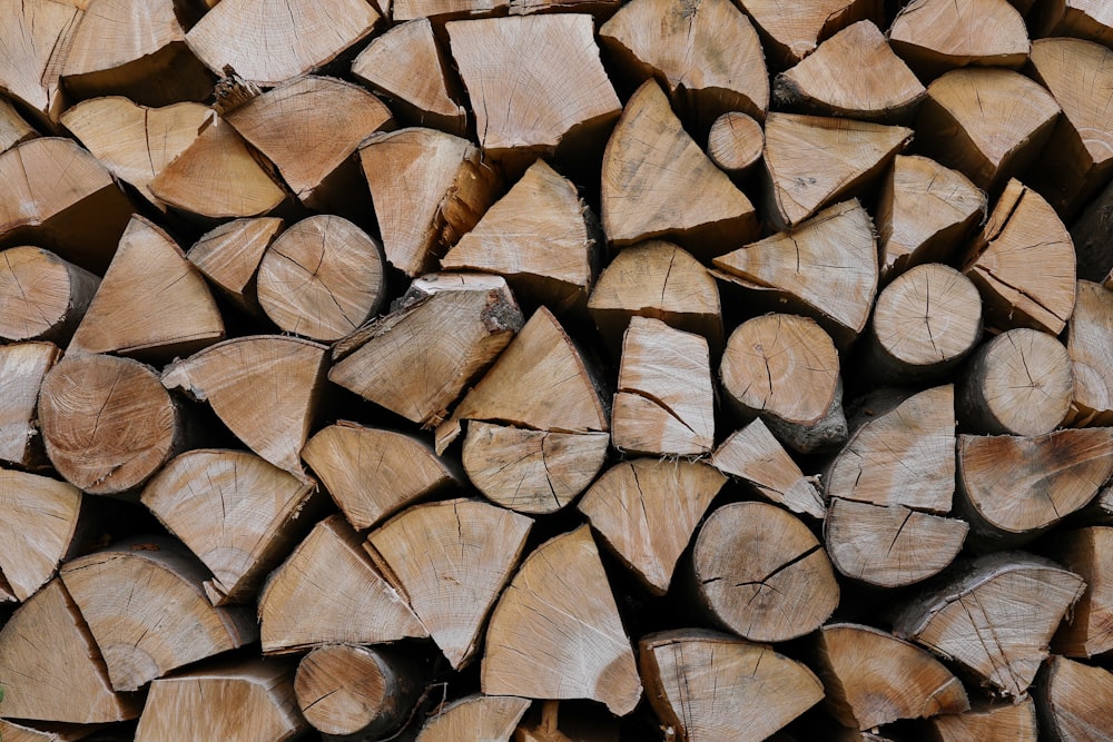 a pile of cut wood