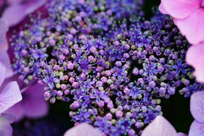 Close-up of a delicate purple and pink personalized party favor with floral details.