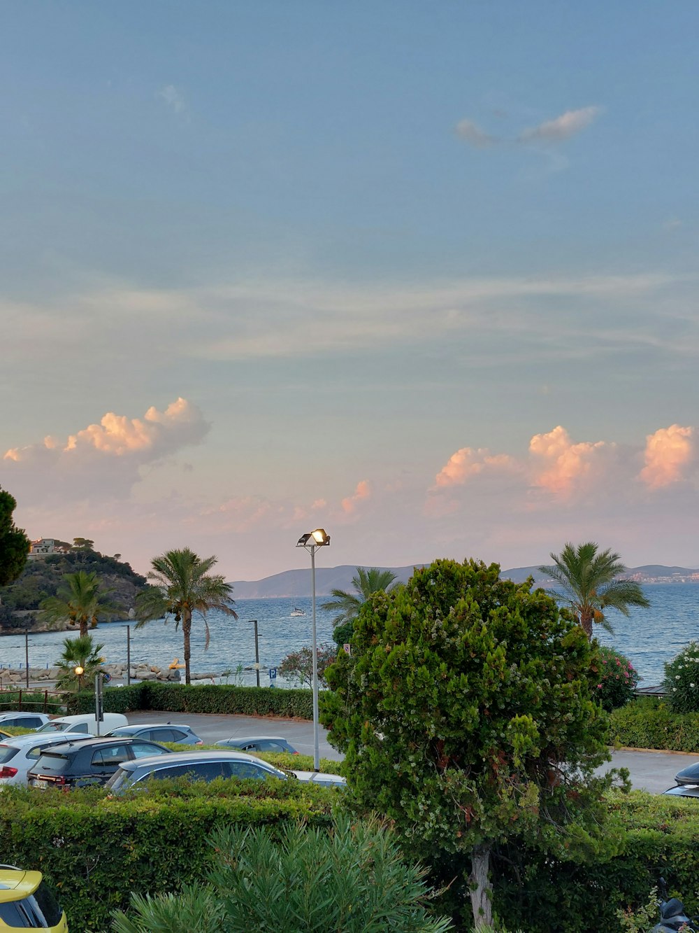 a parking lot with cars and trees by the water