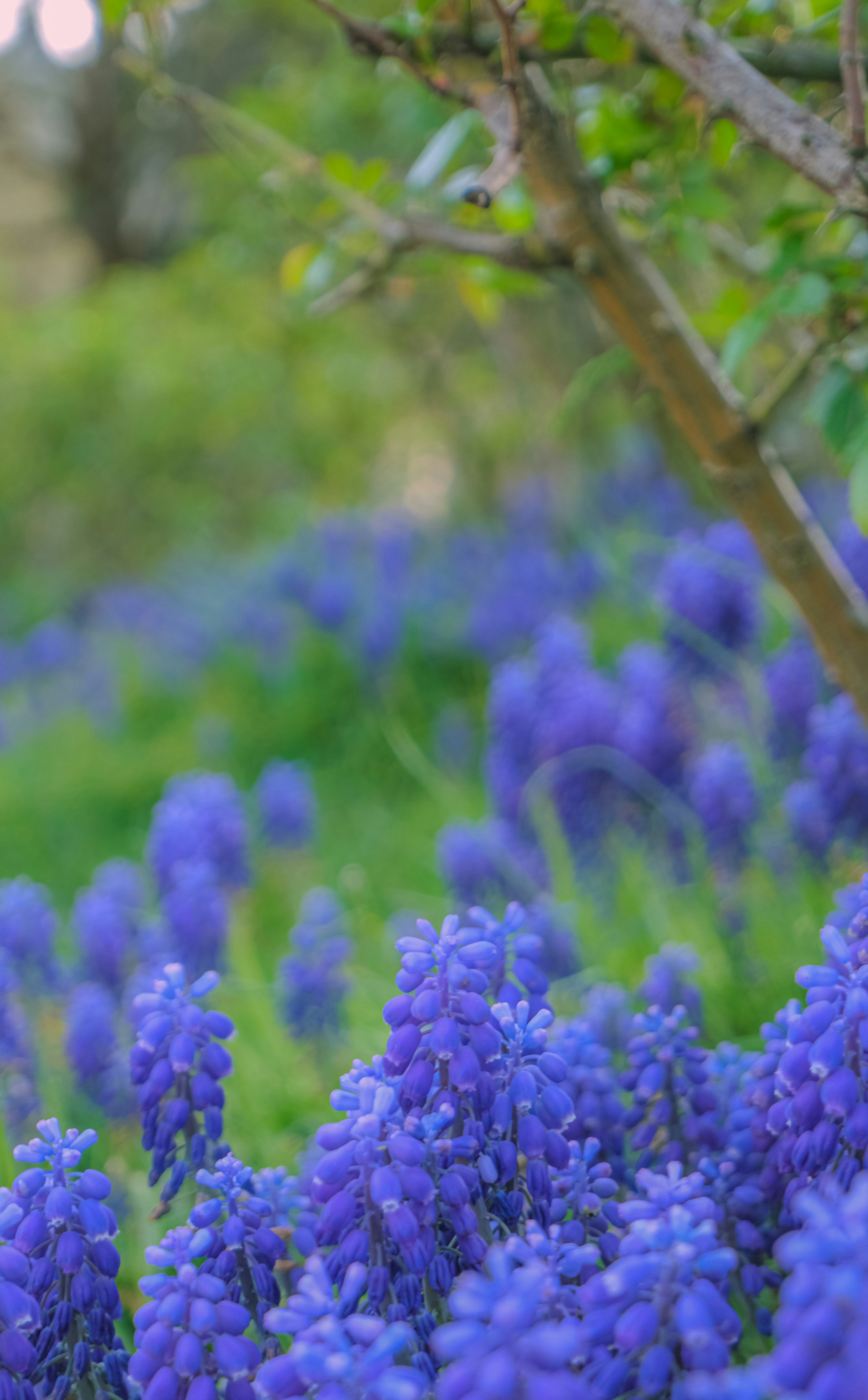 Photo by kmondschein