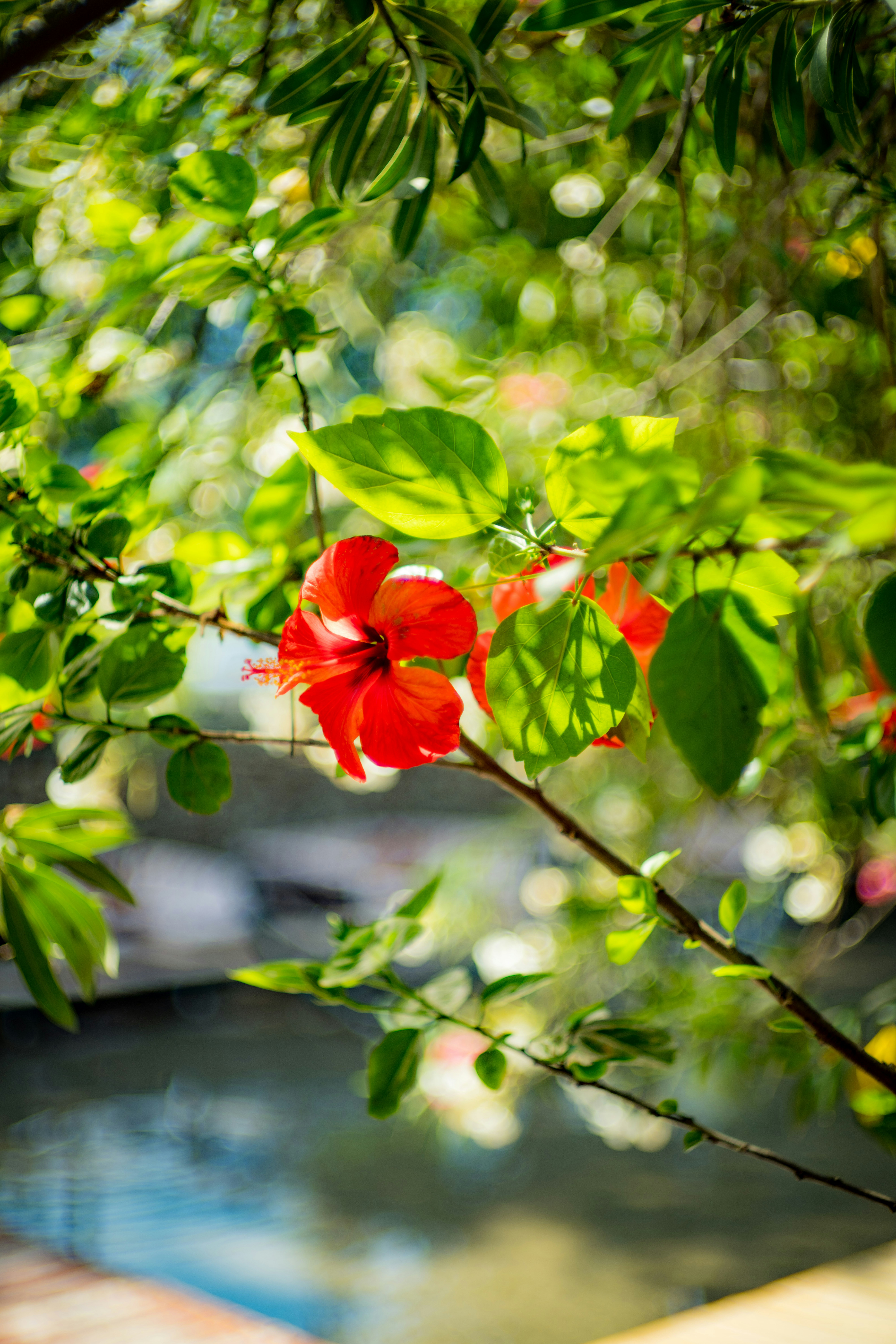 Photo by raimondklavins