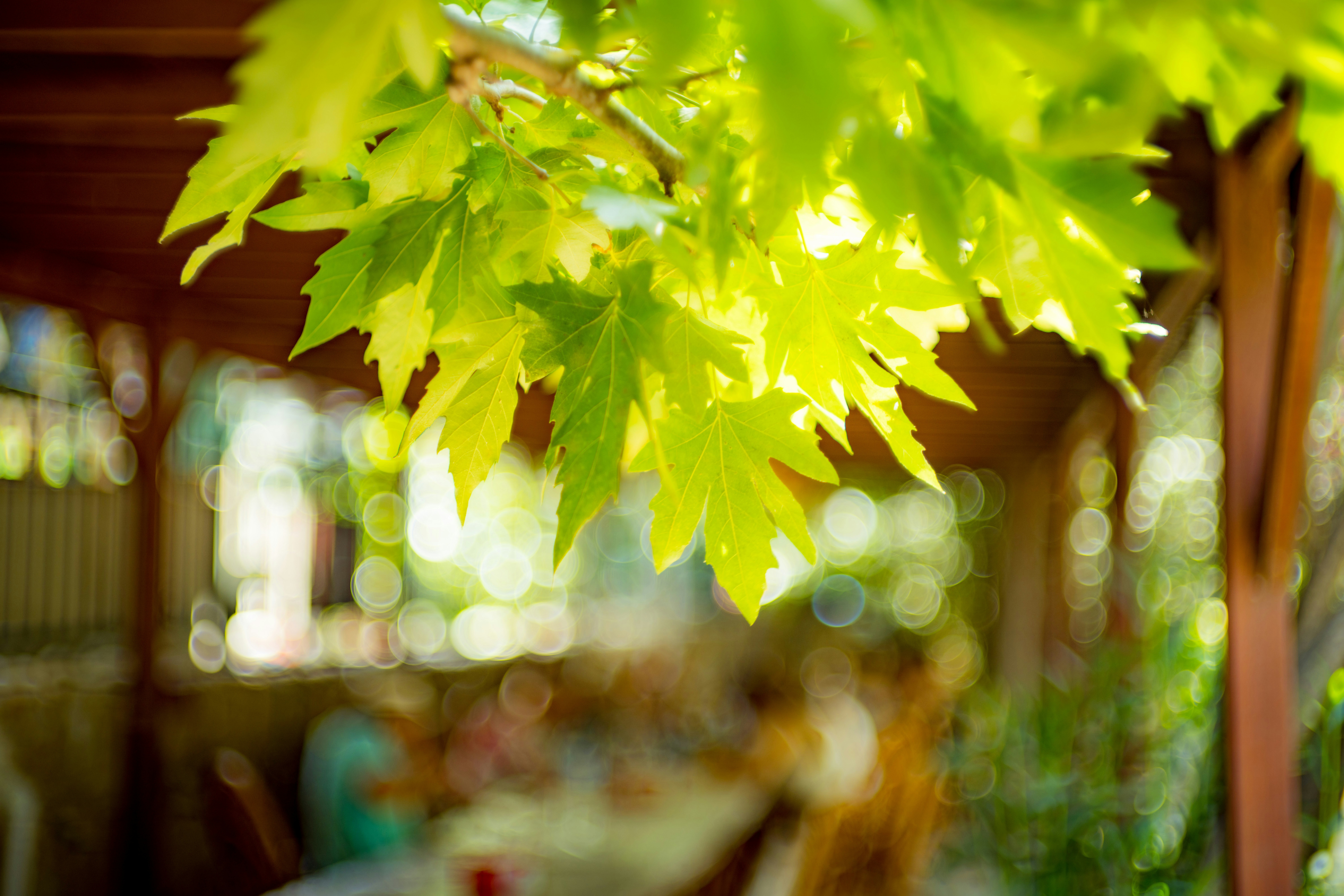 Photo by raimondklavins